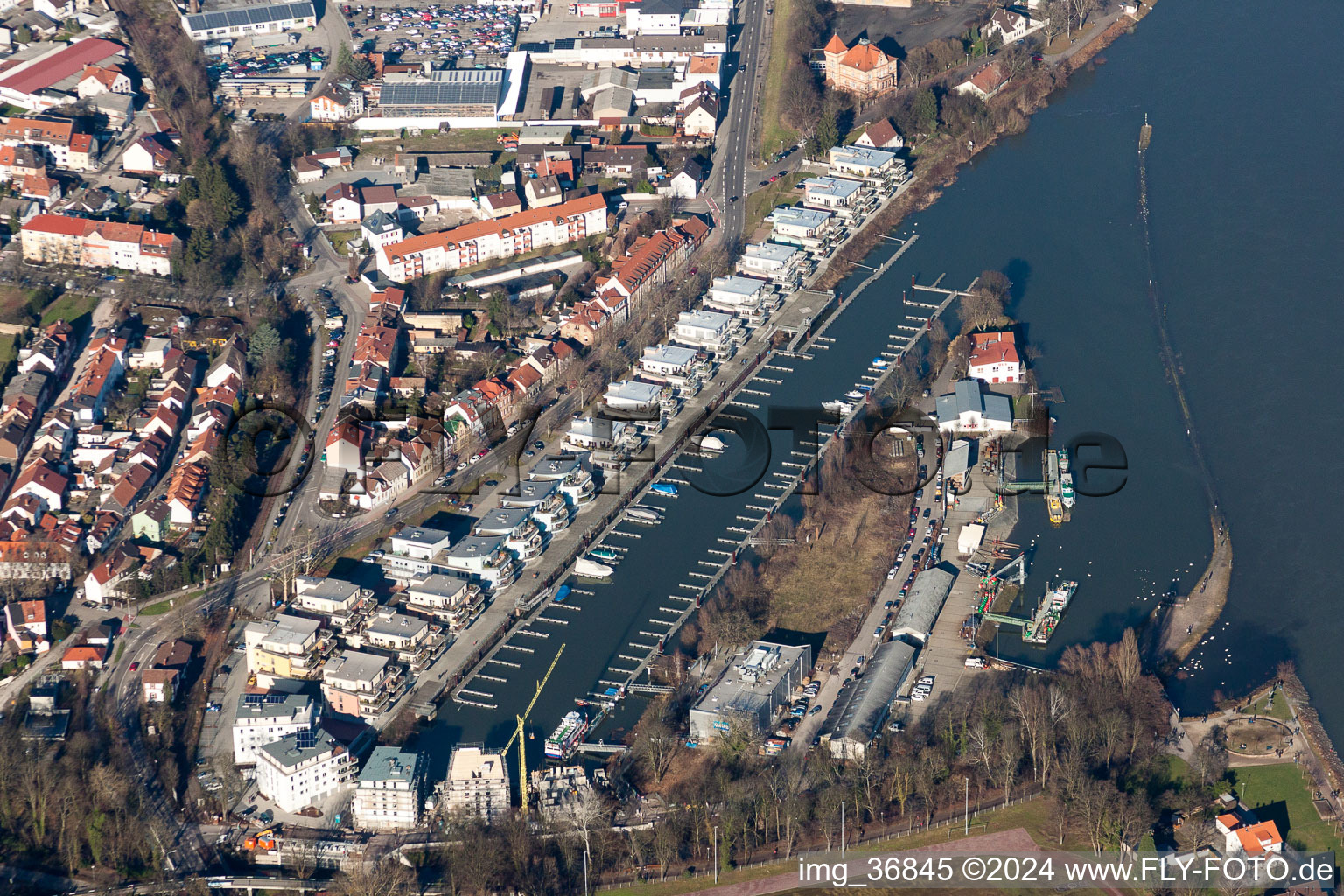 Vue aérienne de Lotissement résidentiel sur les rives de l'ancien bassin portuaire de la Hafenstrasse du Rhin en face de Sea-Live à Speyer dans le département Rhénanie-Palatinat, Allemagne