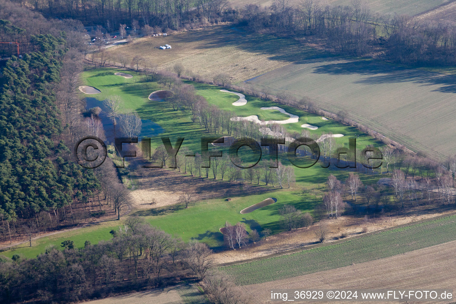 Club de golf Pfalz Neustadt ad Weinstraße eV à le quartier Geinsheim in Neustadt an der Weinstraße dans le département Rhénanie-Palatinat, Allemagne depuis l'avion