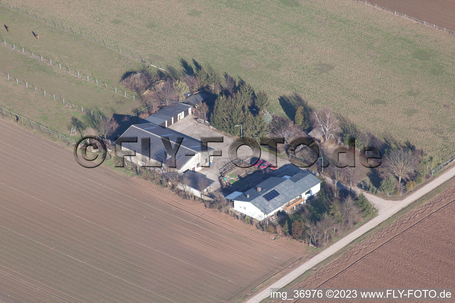 Photographie aérienne de Binsenhof à Zeiskam dans le département Rhénanie-Palatinat, Allemagne
