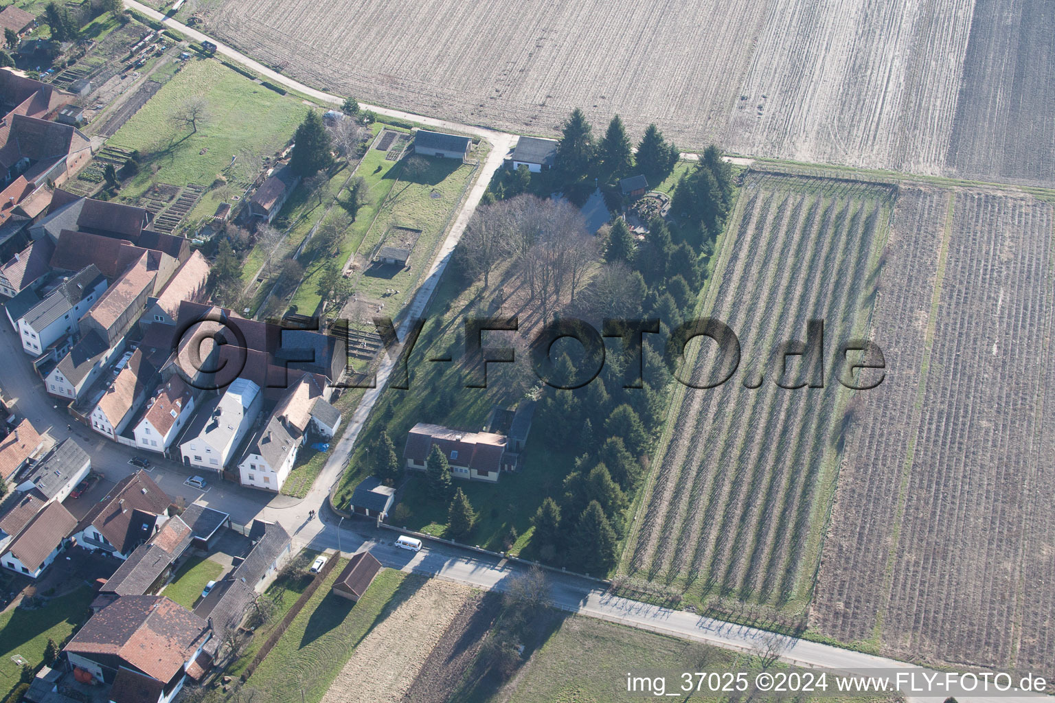 Vue oblique de Erlenbach bei Kandel dans le département Rhénanie-Palatinat, Allemagne