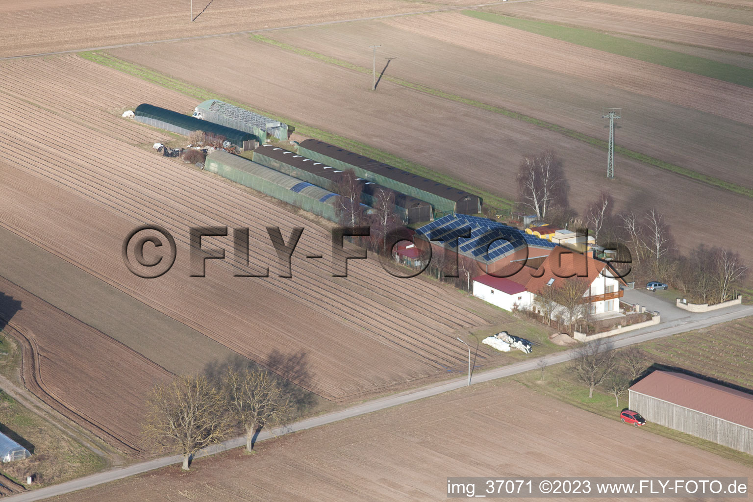 Vue aérienne de Fermes d'émigrants vers Rülzheim à Hördt dans le département Rhénanie-Palatinat, Allemagne