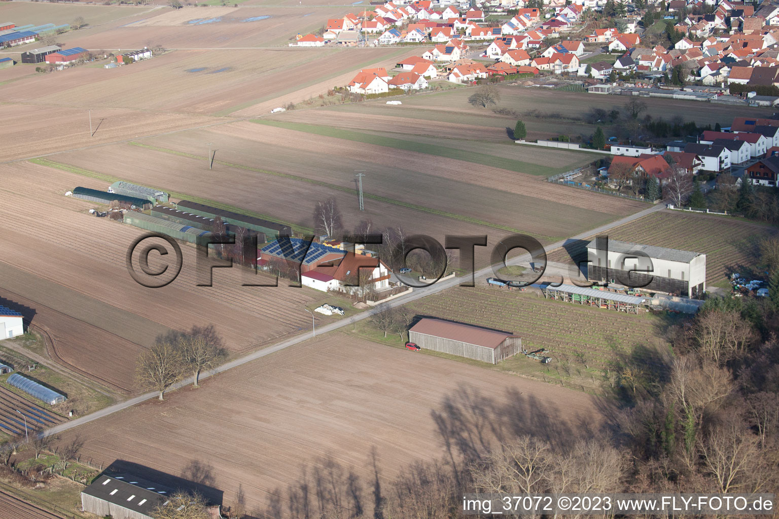 Vue aérienne de Fermes d'émigrants vers Rülzheim à Hördt dans le département Rhénanie-Palatinat, Allemagne
