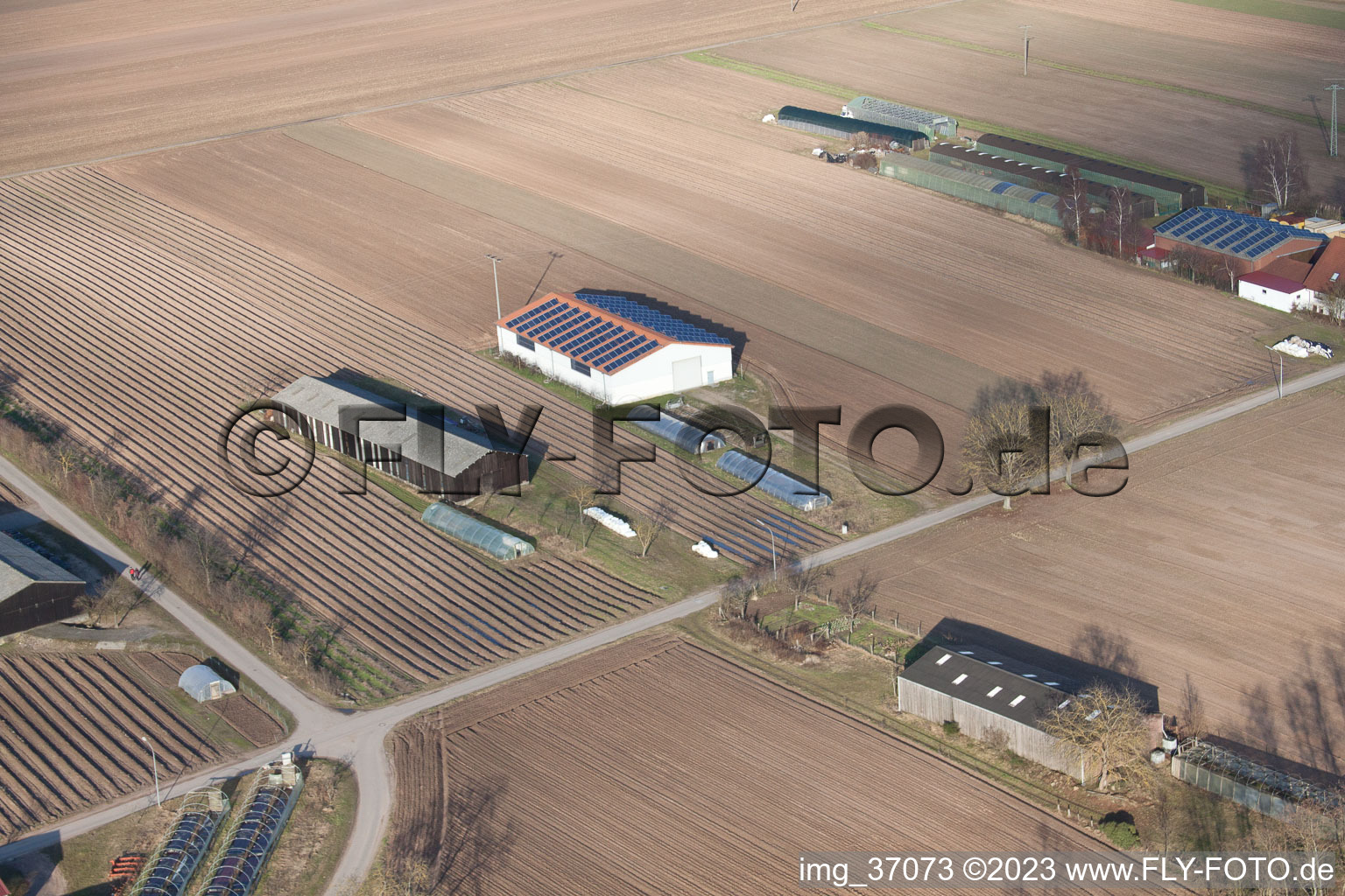 Photographie aérienne de Fermes d'émigrants vers Rülzheim à Hördt dans le département Rhénanie-Palatinat, Allemagne