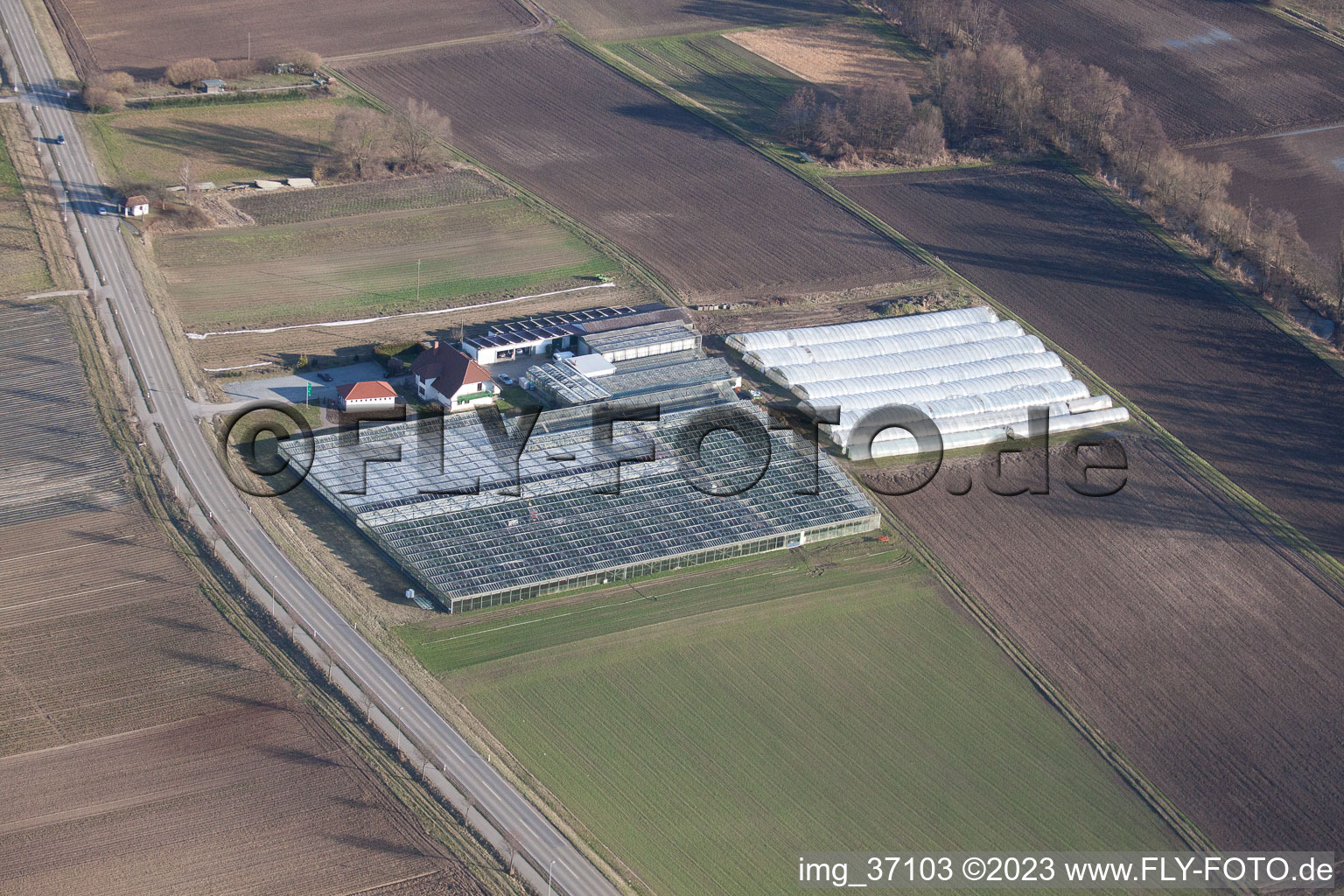 Photographie aérienne de Jardinage/boutique biologique à le quartier Herxheim in Herxheim bei Landau dans le département Rhénanie-Palatinat, Allemagne