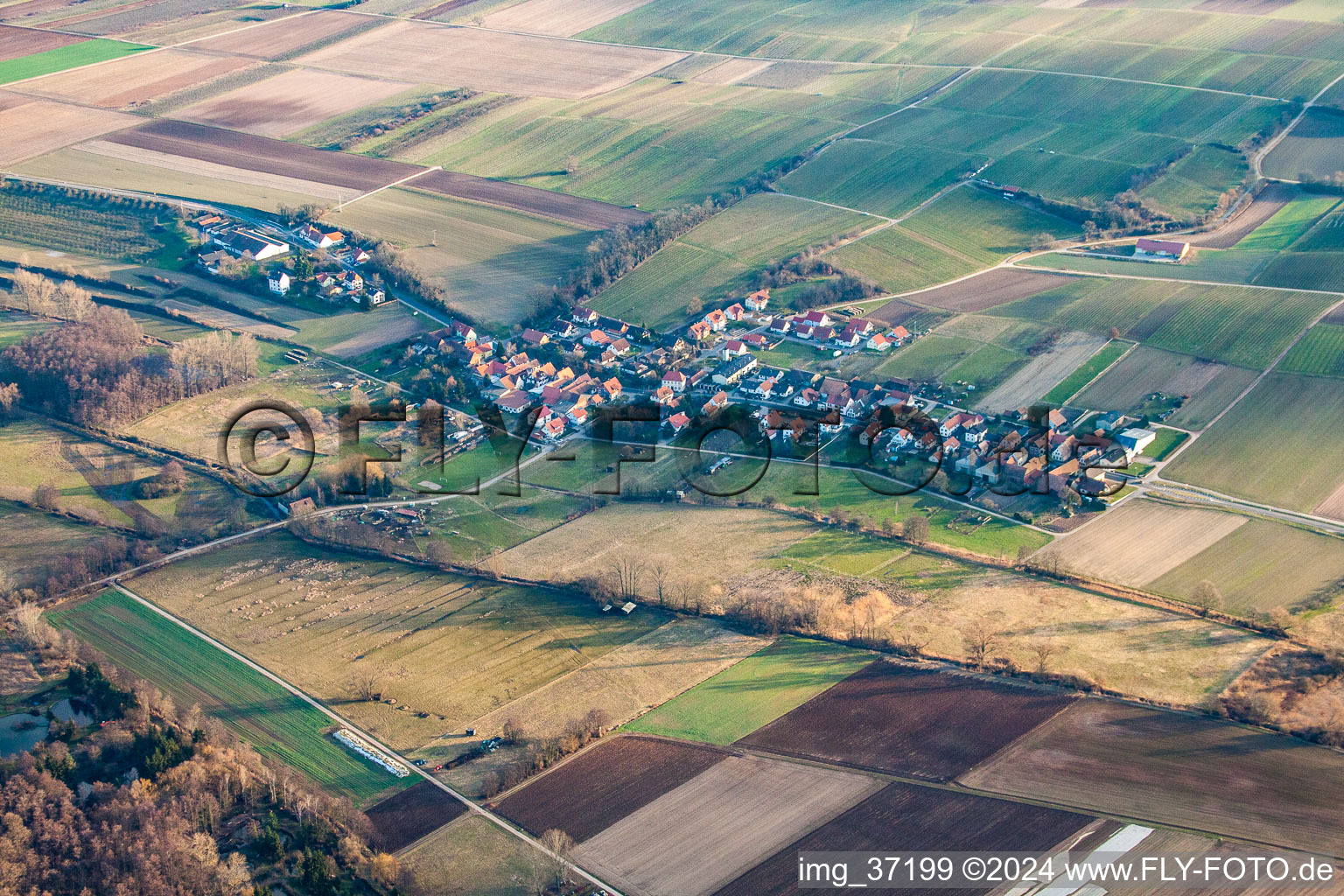 Vue d'oiseau de Hergersweiler dans le département Rhénanie-Palatinat, Allemagne