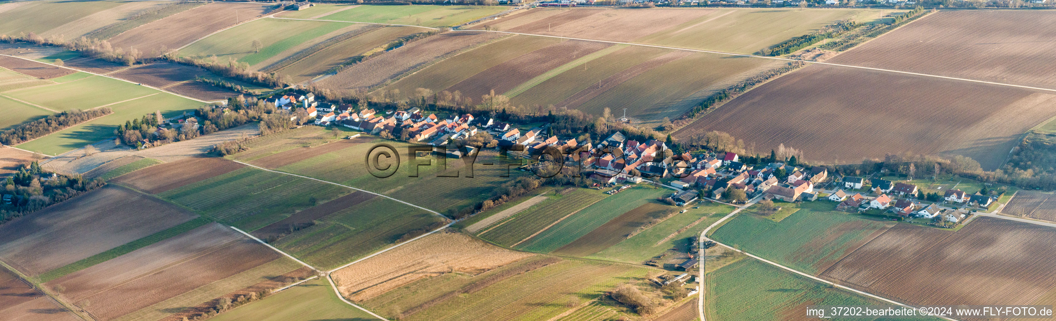 Vue aérienne de Panorama - champs agricoles et terres agricoles en perspective à Vollmersweiler dans le département Rhénanie-Palatinat, Allemagne