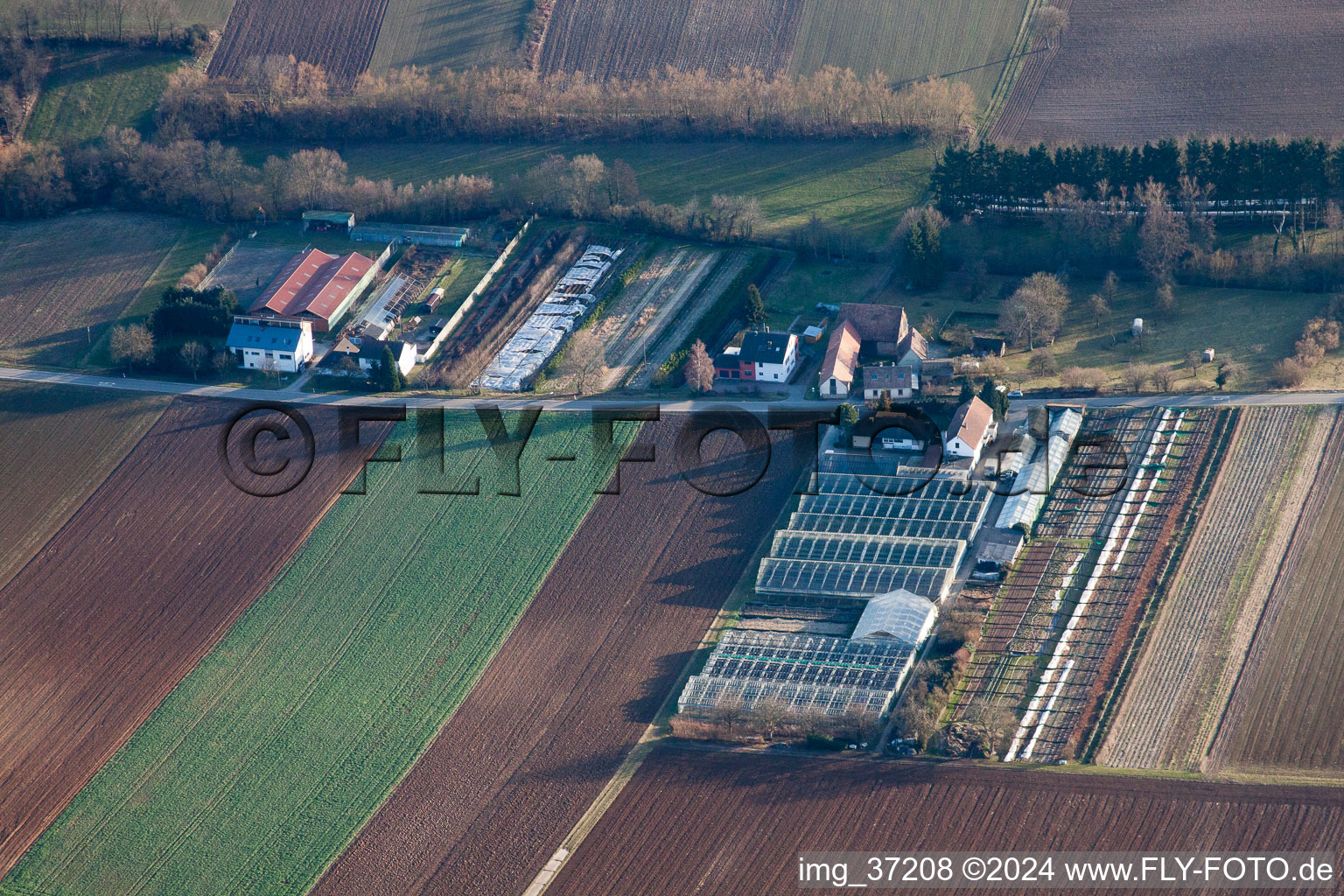 Vue oblique de Jardinage à Vollmersweiler dans le département Rhénanie-Palatinat, Allemagne