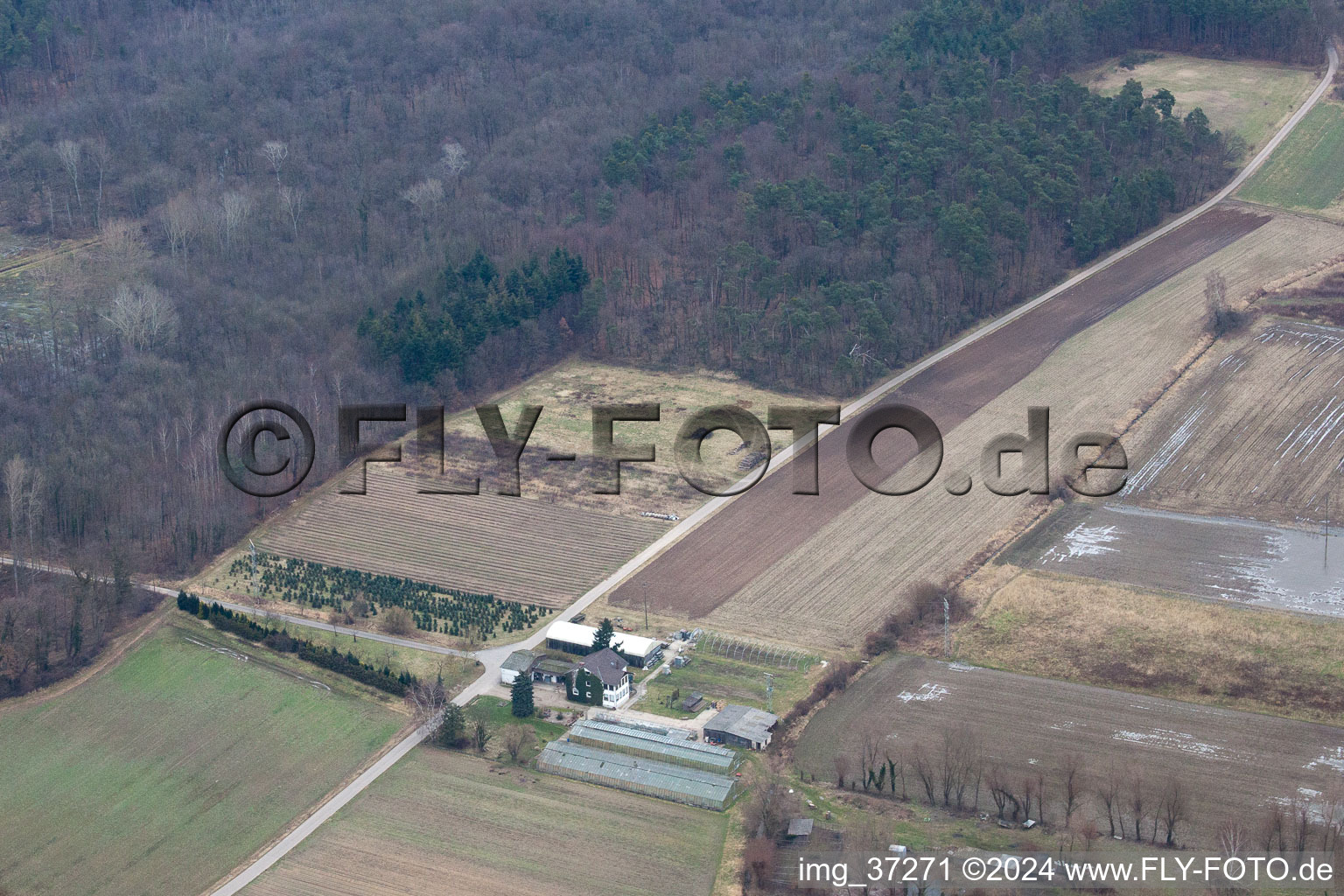 Vue aérienne de Jardiner à Erlenbach à Erlenbach bei Kandel dans le département Rhénanie-Palatinat, Allemagne