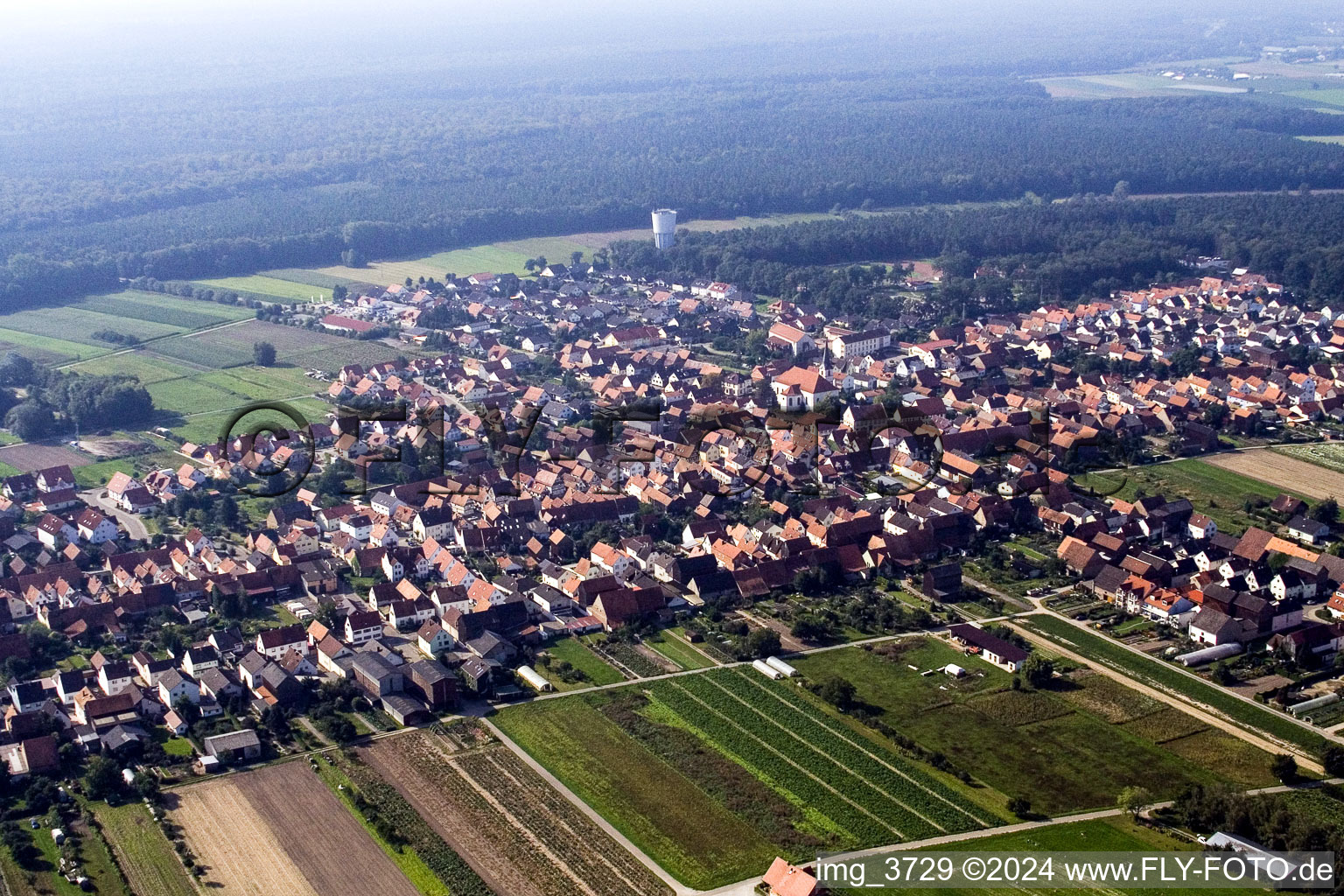 Hatzenbühl dans le département Rhénanie-Palatinat, Allemagne du point de vue du drone