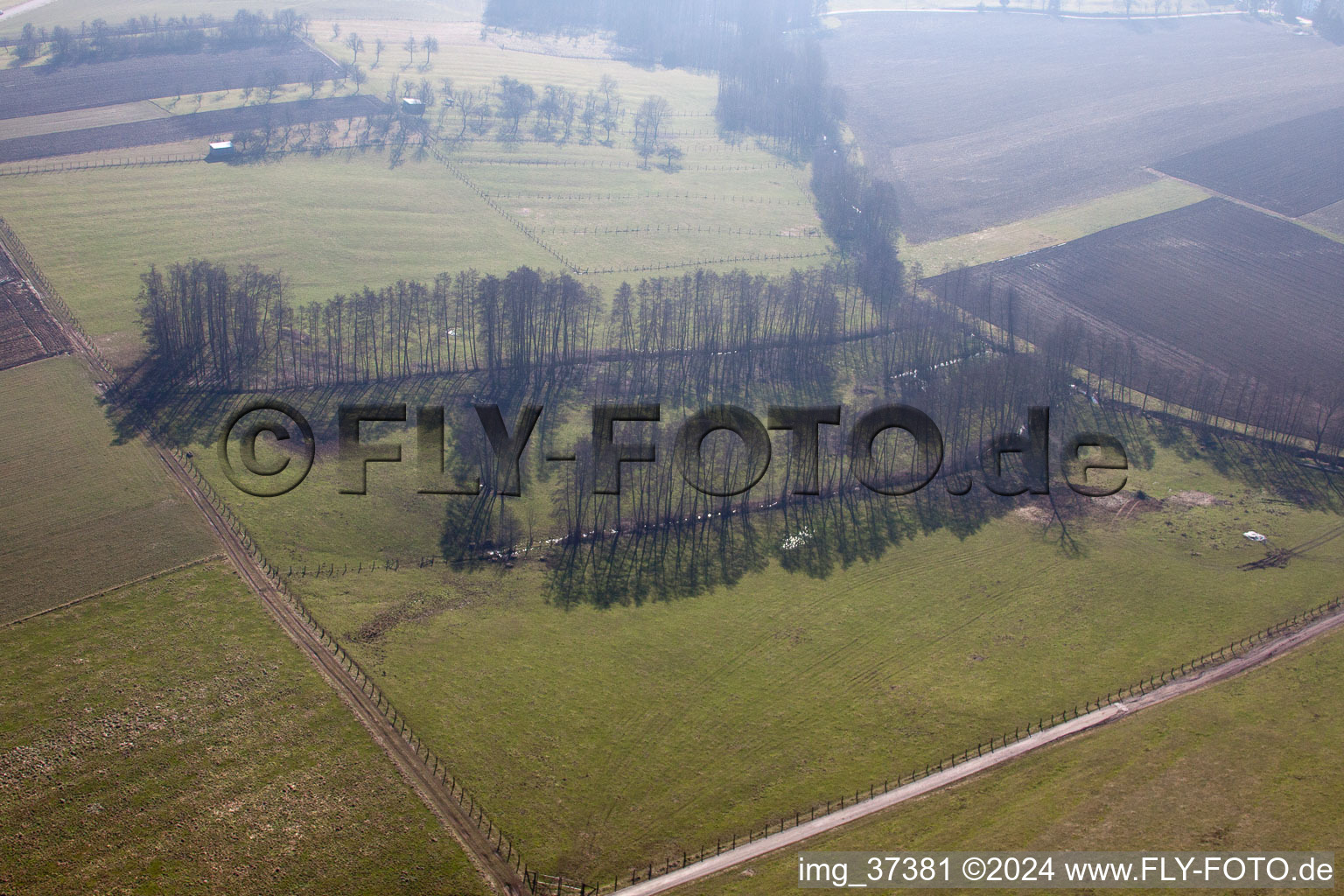 Riedseltz dans le département Bas Rhin, France hors des airs