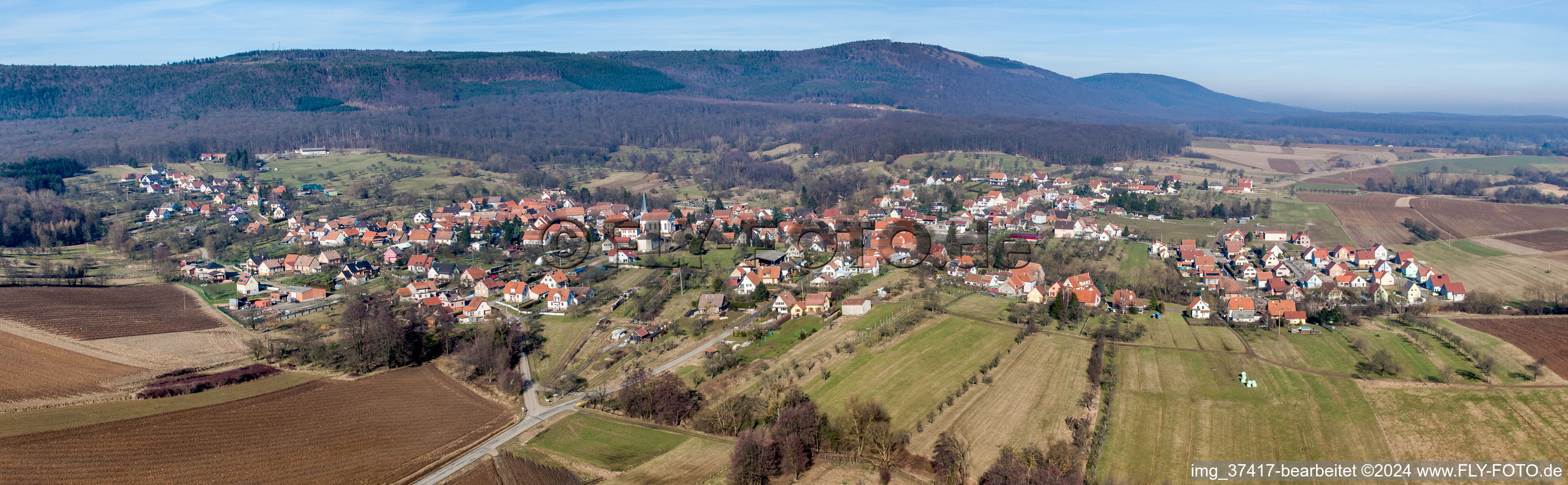 Vue aérienne de Champs agricoles et terres agricoles en perspective panoramique à Lampertsloch dans le département Bas Rhin, France