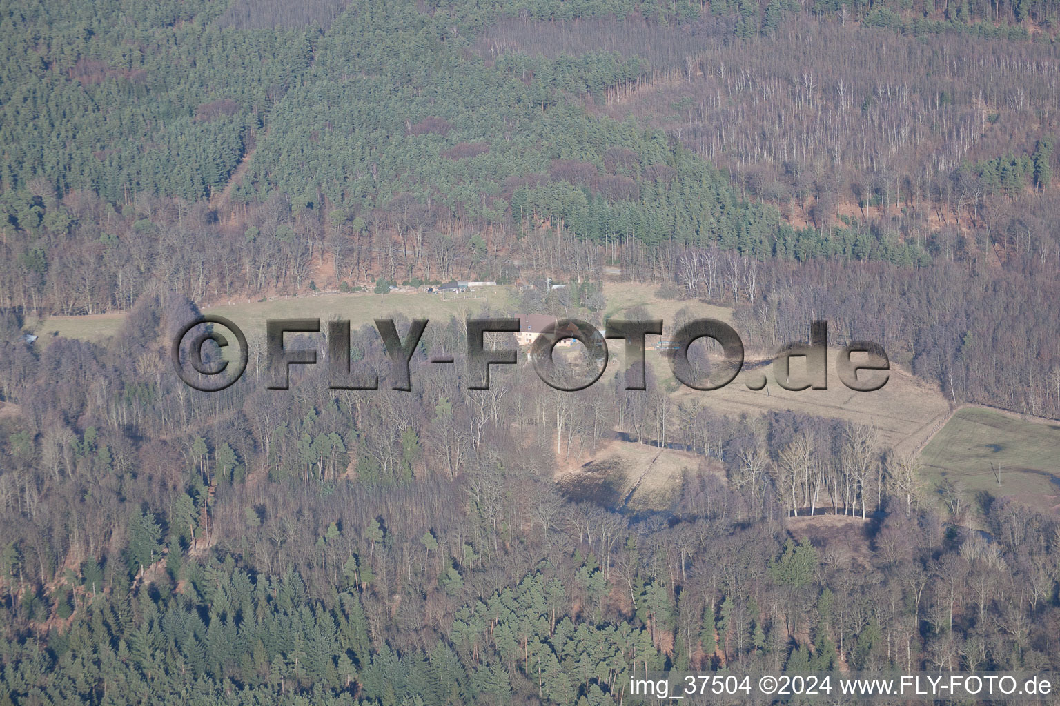 Vue aérienne de Bienwaldmühle dans le département Rhénanie-Palatinat, Allemagne