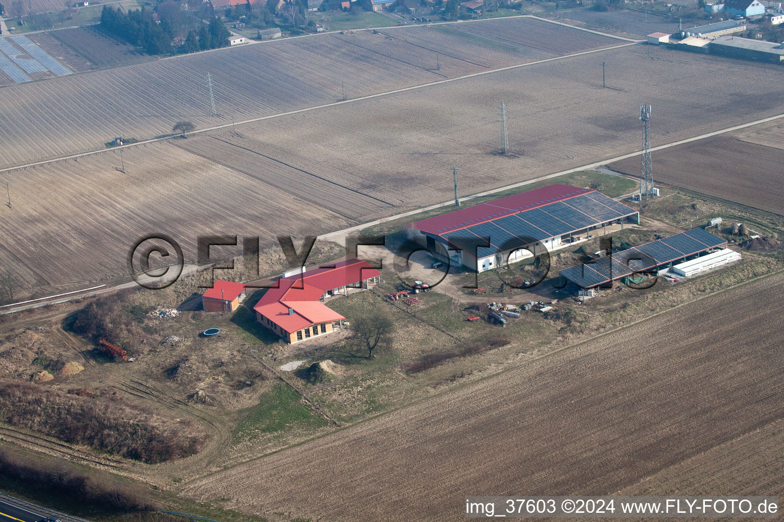 Vue oblique de Ferme d'œufs à Erlenbach bei Kandel dans le département Rhénanie-Palatinat, Allemagne