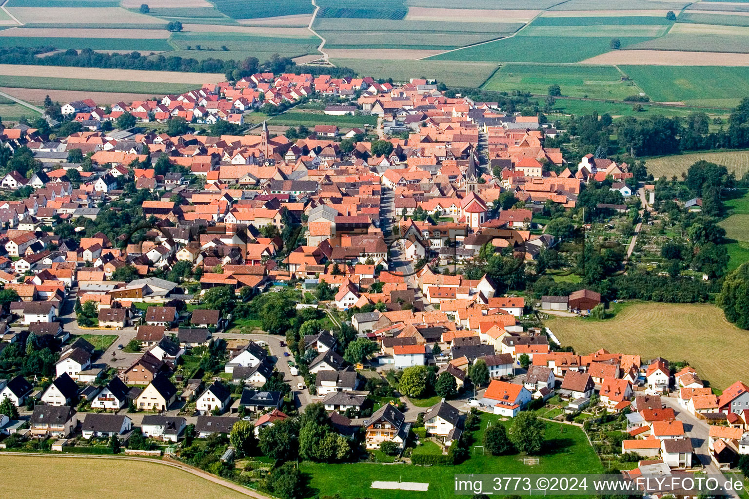 Vue aérienne de De l'est à Steinweiler dans le département Rhénanie-Palatinat, Allemagne