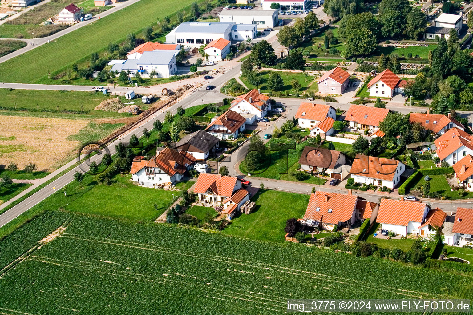 Steinweiler dans le département Rhénanie-Palatinat, Allemagne du point de vue du drone