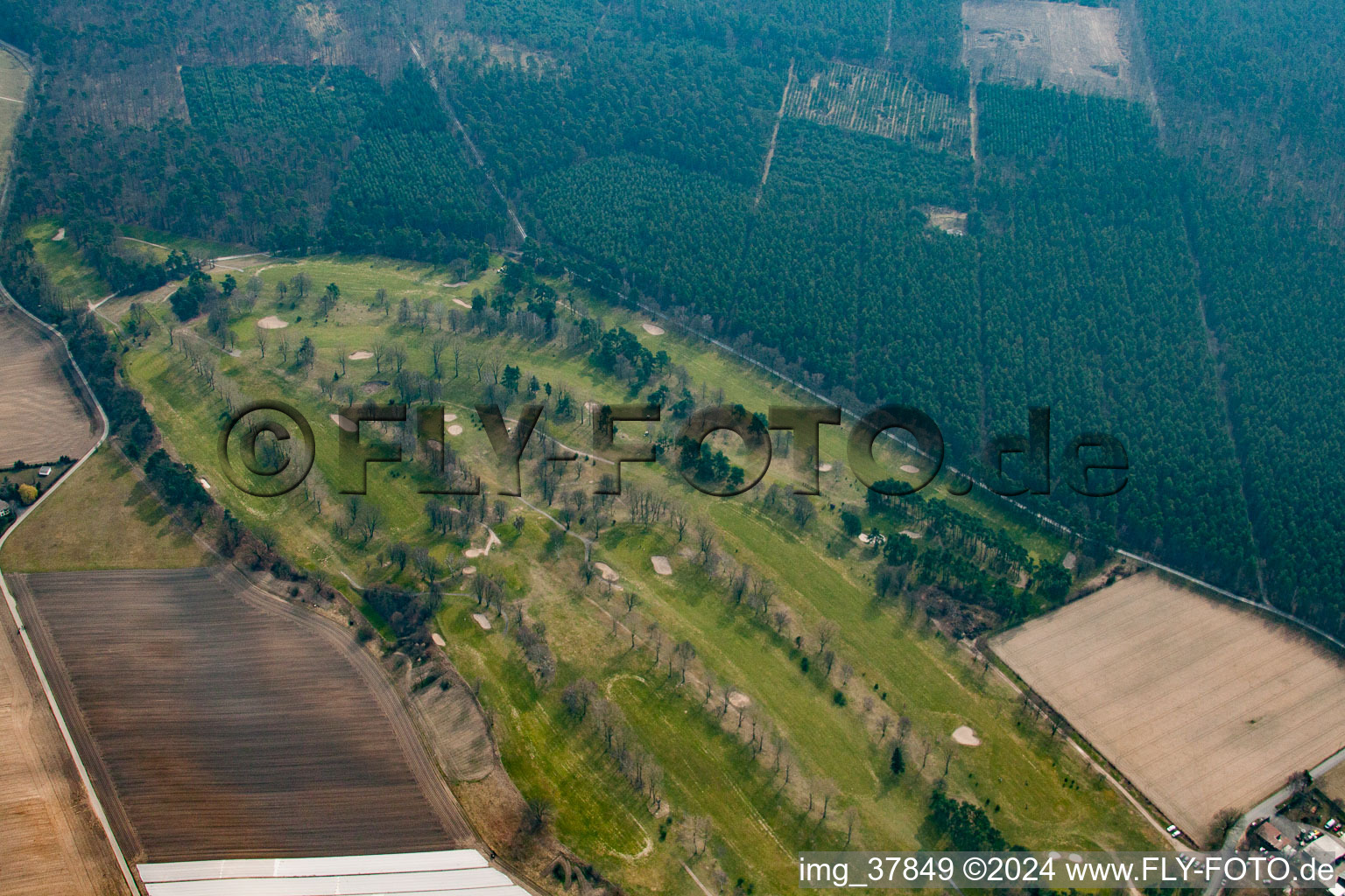 Vue aérienne de Terrain de golf Rheintal Gmbh dans les dunes d'Oftersheim à le quartier Hardtwaldsiedlung in Oftersheim dans le département Bade-Wurtemberg, Allemagne