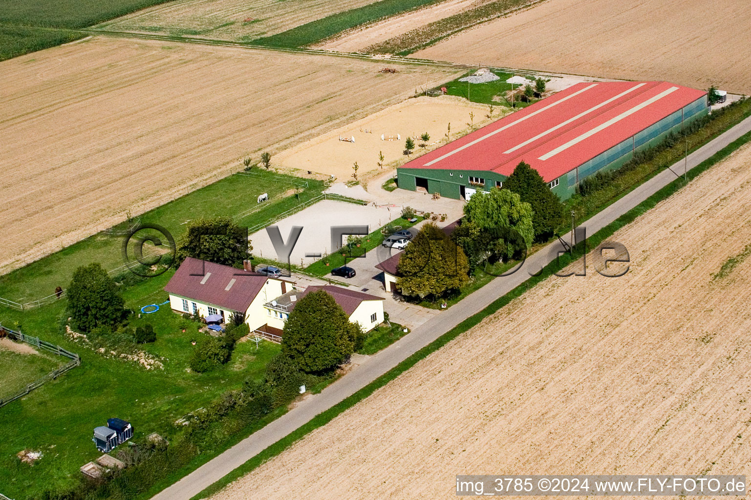 Vue aérienne de Ferme équestre à Steinweiler dans le département Rhénanie-Palatinat, Allemagne