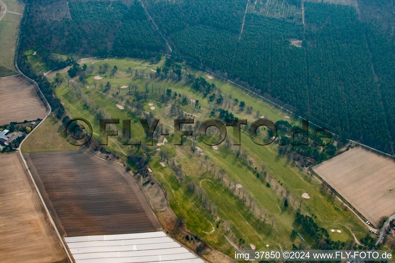 Photographie aérienne de Terrain de golf Rheintal Gmbh dans les dunes d'Oftersheim à le quartier Hardtwaldsiedlung in Oftersheim dans le département Bade-Wurtemberg, Allemagne