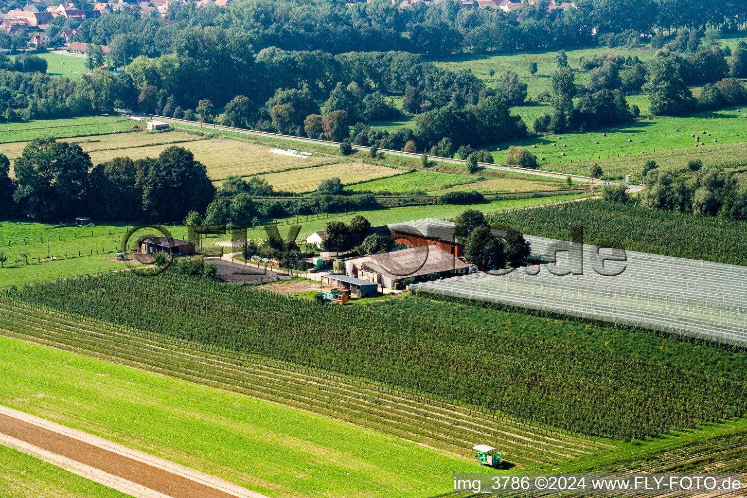 Lindenhof : Ferme de fruits et d'asperges de Gensheimer à Steinweiler dans le département Rhénanie-Palatinat, Allemagne vue d'en haut