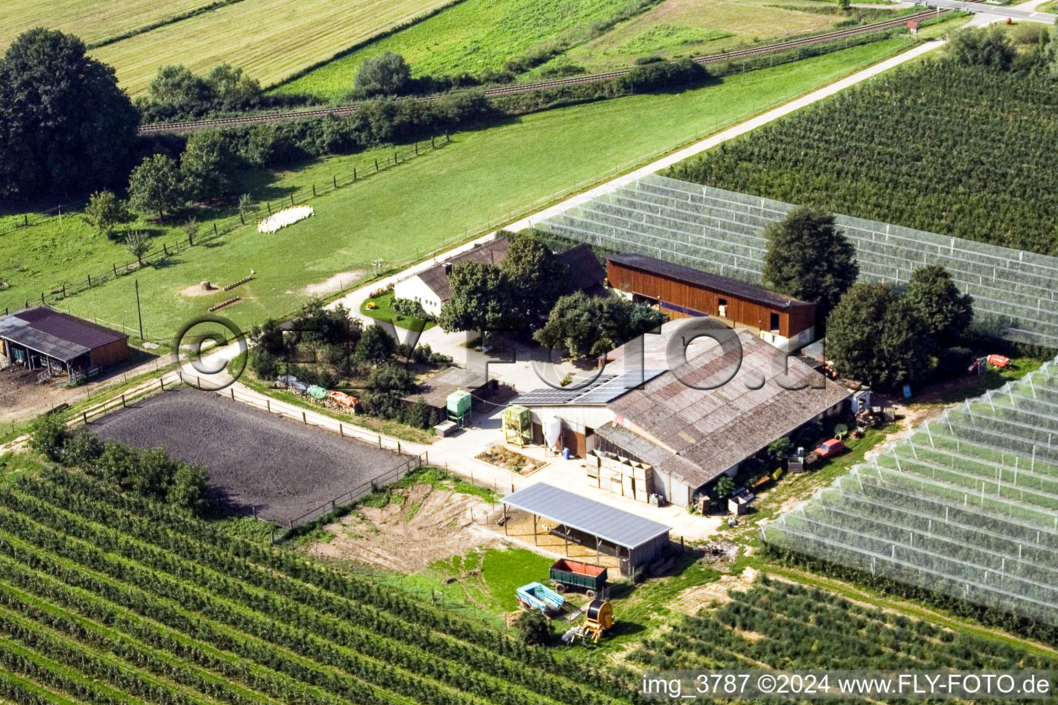 Lindenhof : Ferme de fruits et d'asperges de Gensheimer à Steinweiler dans le département Rhénanie-Palatinat, Allemagne depuis l'avion