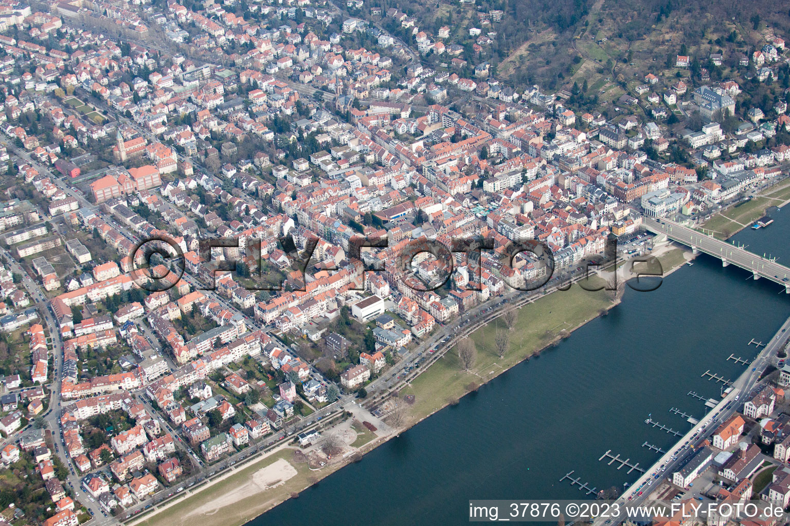 Vue aérienne de Uferstr sur la Neckarwiese à le quartier Neuenheim in Heidelberg dans le département Bade-Wurtemberg, Allemagne