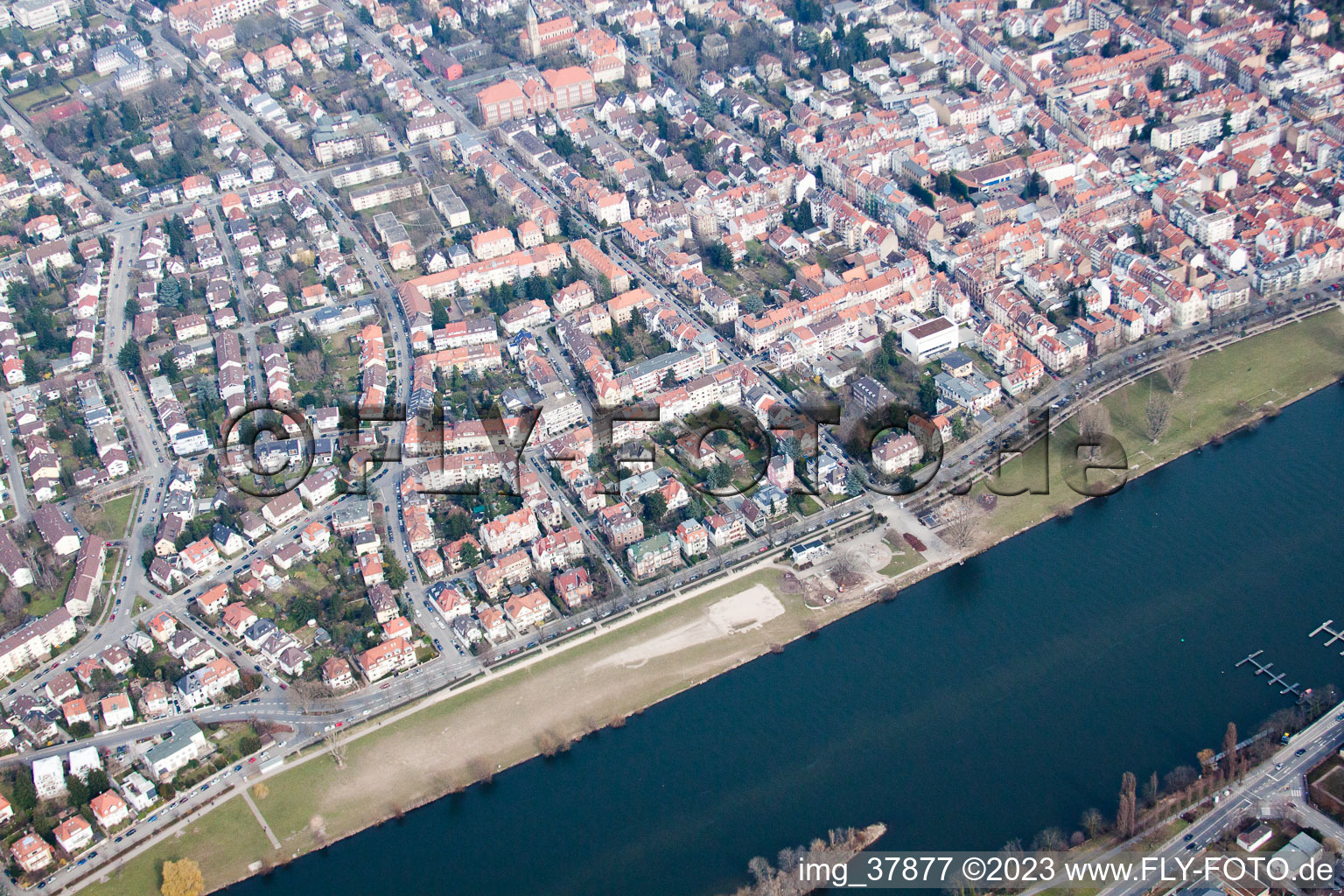 Vue aérienne de Prairie du Neckar à le quartier Neuenheim in Heidelberg dans le département Bade-Wurtemberg, Allemagne