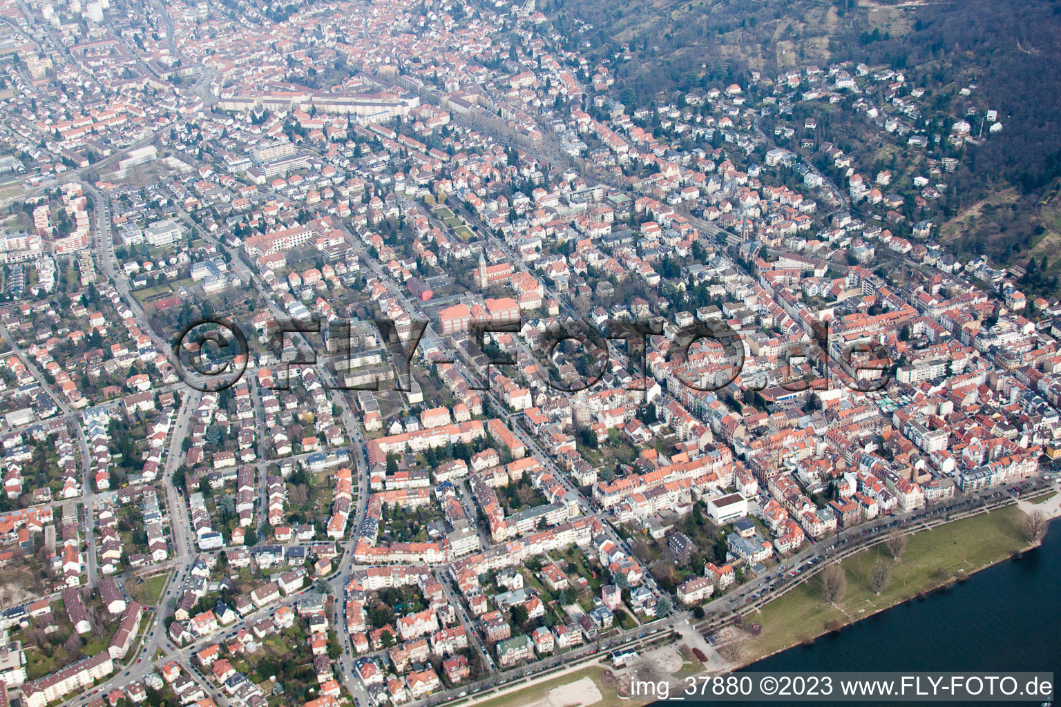 Vue oblique de Quartier Neuenheim in Heidelberg dans le département Bade-Wurtemberg, Allemagne