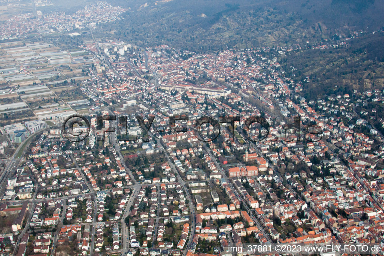 Vue aérienne de Quartier Handschuhsheim in Heidelberg dans le département Bade-Wurtemberg, Allemagne