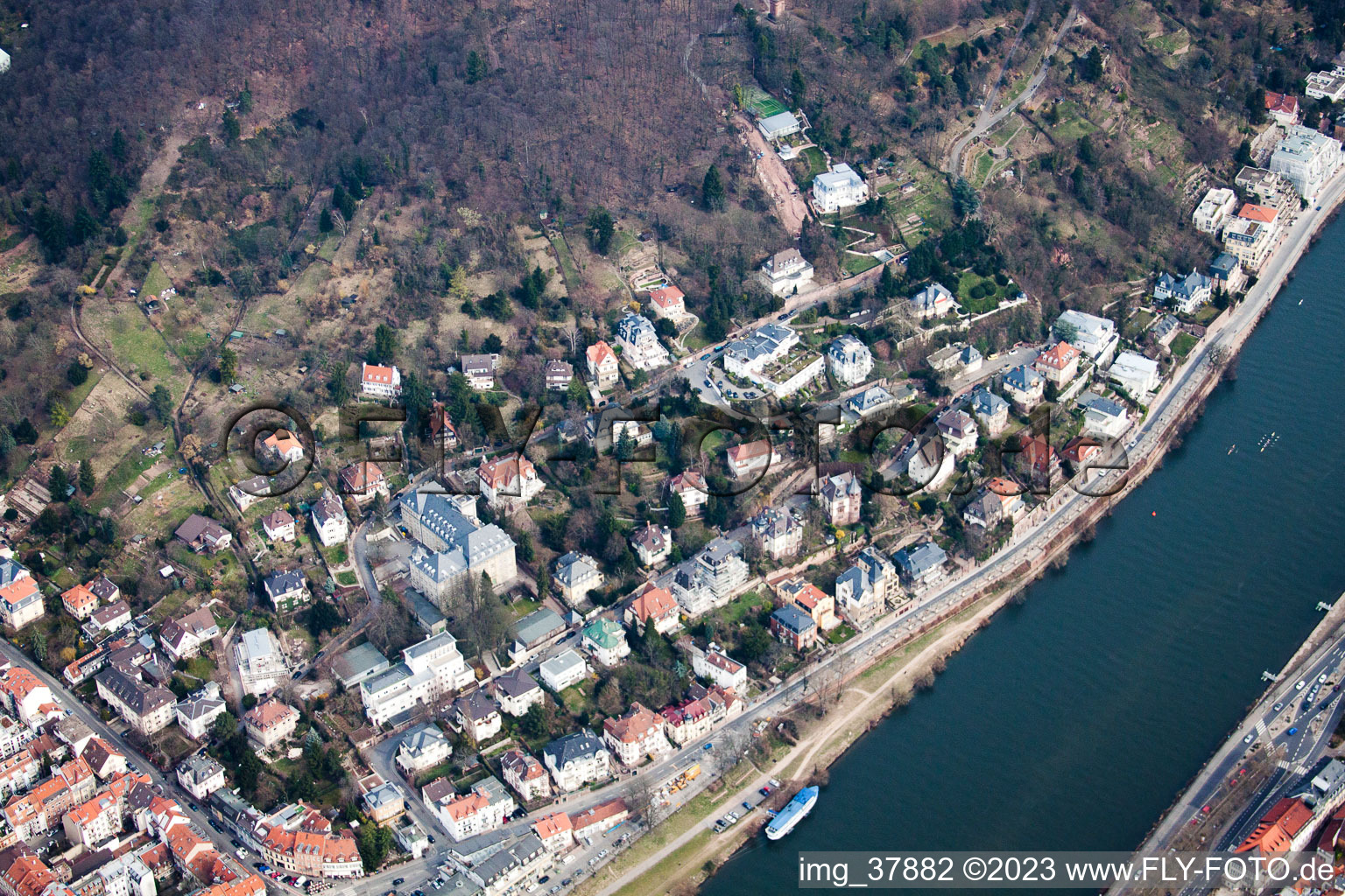 Photographie aérienne de Le chemin du philosophe à le quartier Neuenheim in Heidelberg dans le département Bade-Wurtemberg, Allemagne