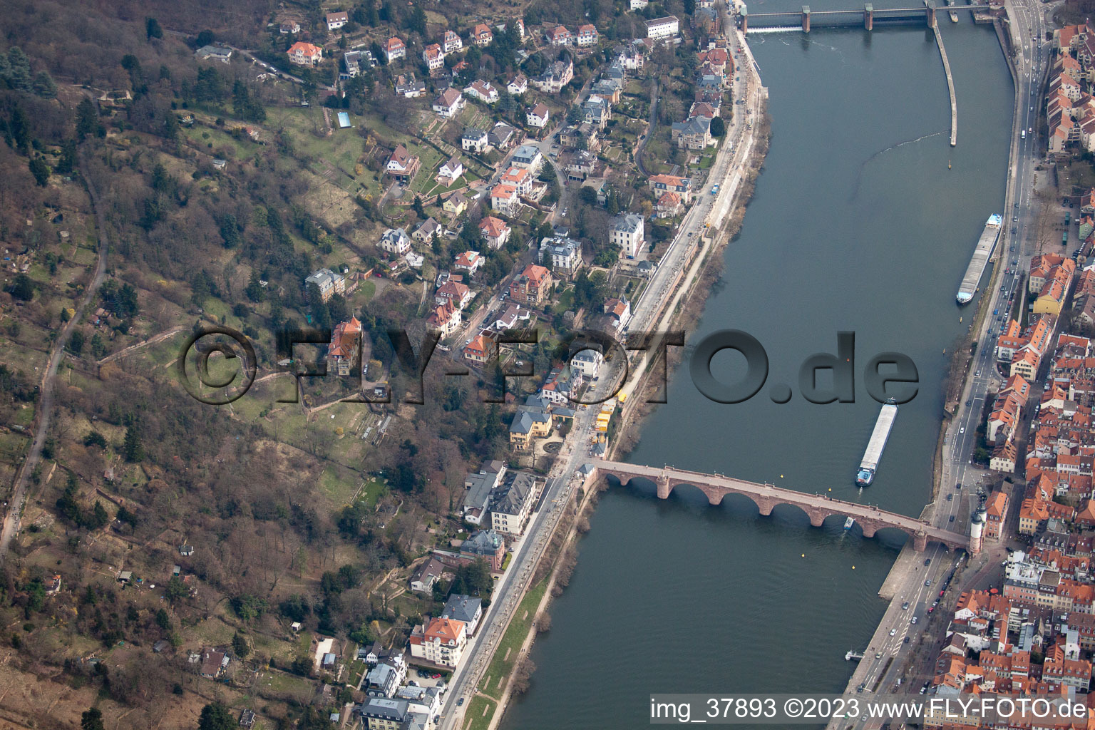 Vue aérienne de Vieux pont, Hölderlinweg à le quartier Neuenheim in Heidelberg dans le département Bade-Wurtemberg, Allemagne