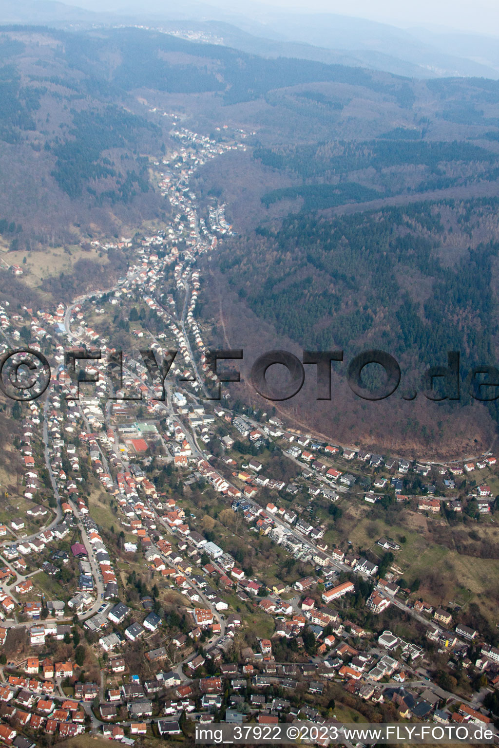 Vue oblique de Quartier Schlierbach in Heidelberg dans le département Bade-Wurtemberg, Allemagne