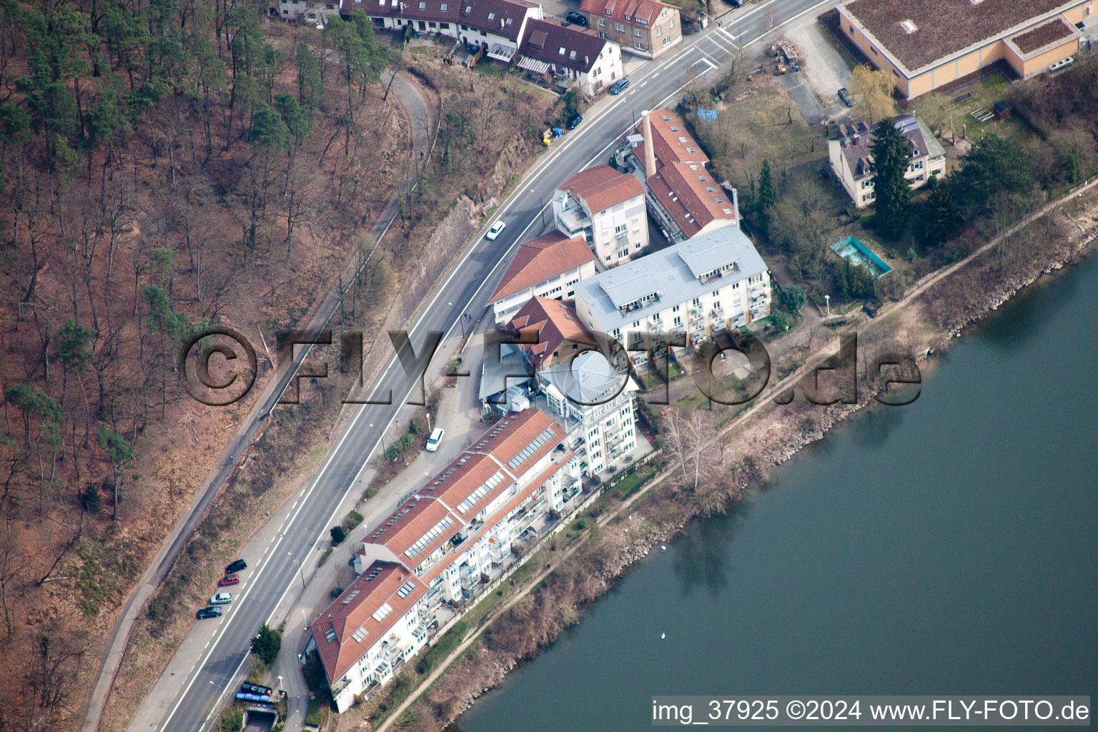 Photographie aérienne de Quartier Ziegelhausen in Heidelberg dans le département Bade-Wurtemberg, Allemagne