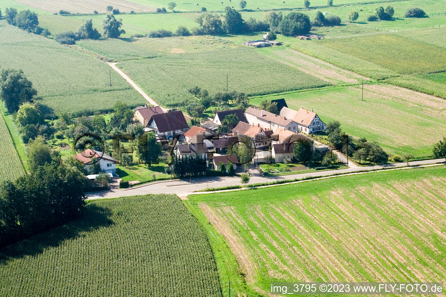 Vue aérienne de Welschhof à Minfeld dans le département Rhénanie-Palatinat, Allemagne