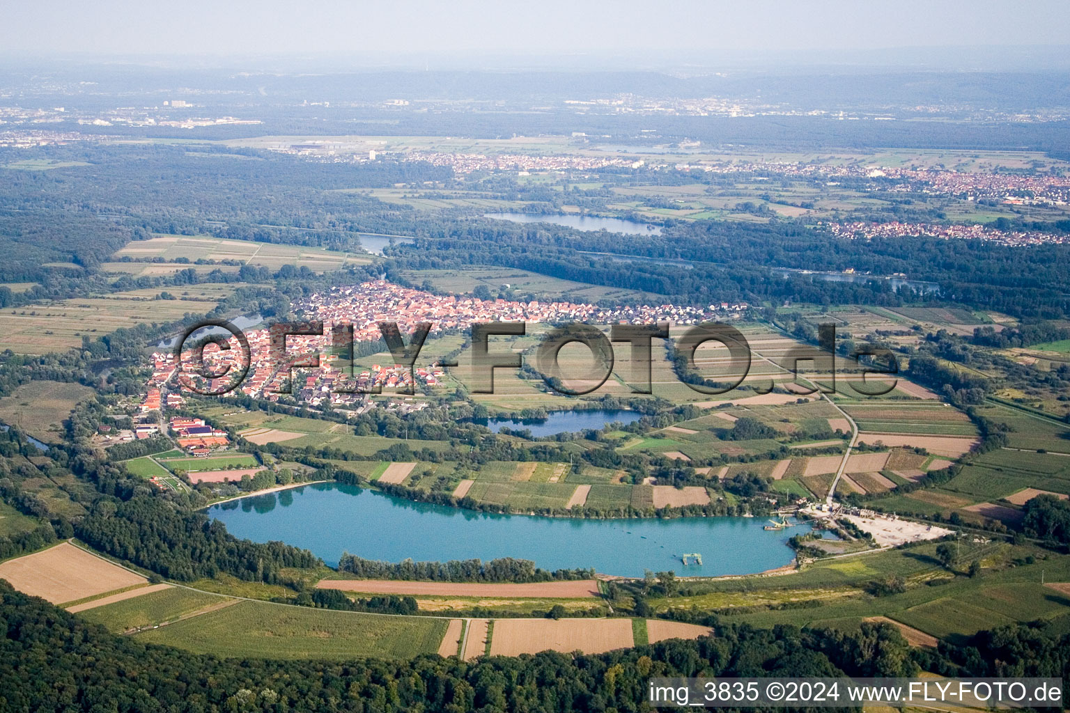 Vue aérienne de Zones riveraines du Vieux Rhin sur le Rhin à Neuburg dans le département Rhénanie-Palatinat, Allemagne