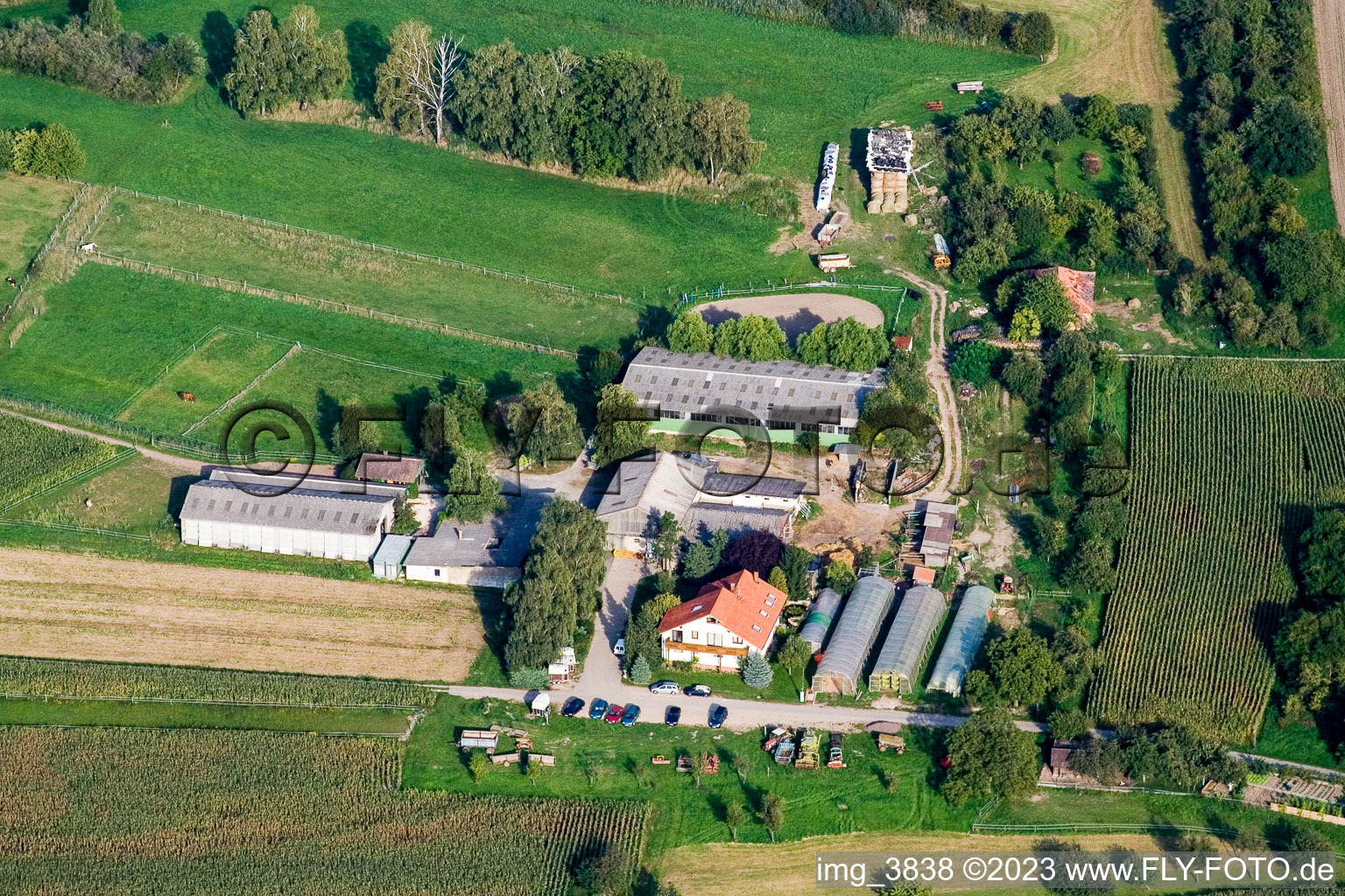 Vue aérienne de Aussiedlerhof à Berg dans le département Rhénanie-Palatinat, Allemagne