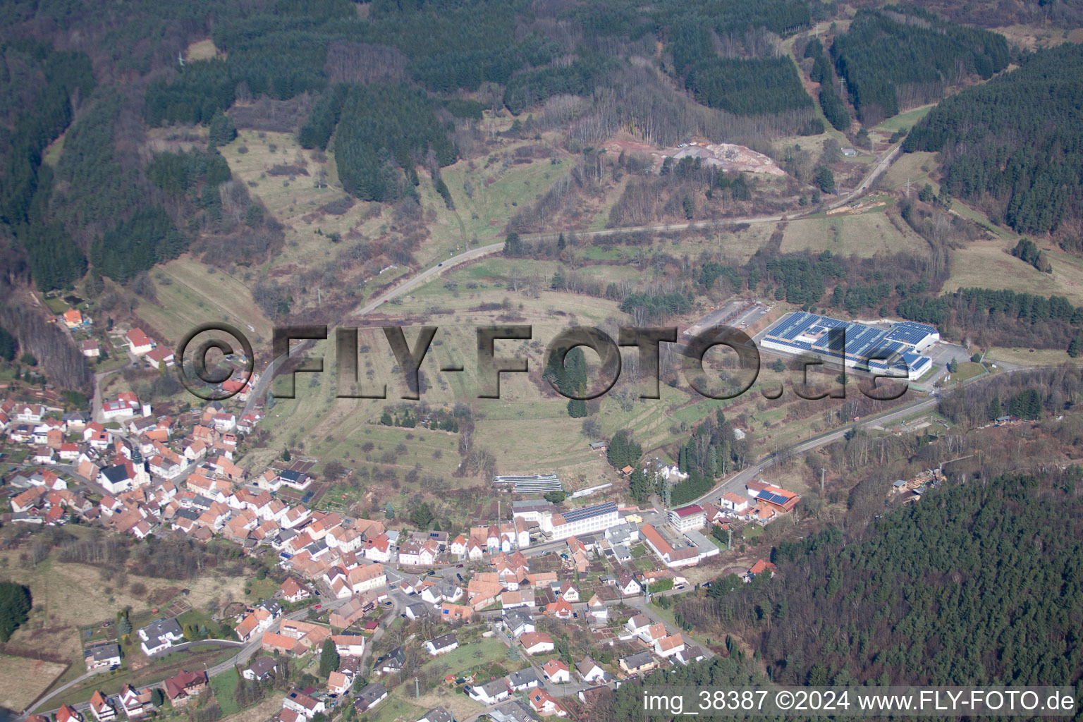 Schwanheim dans le département Rhénanie-Palatinat, Allemagne d'en haut