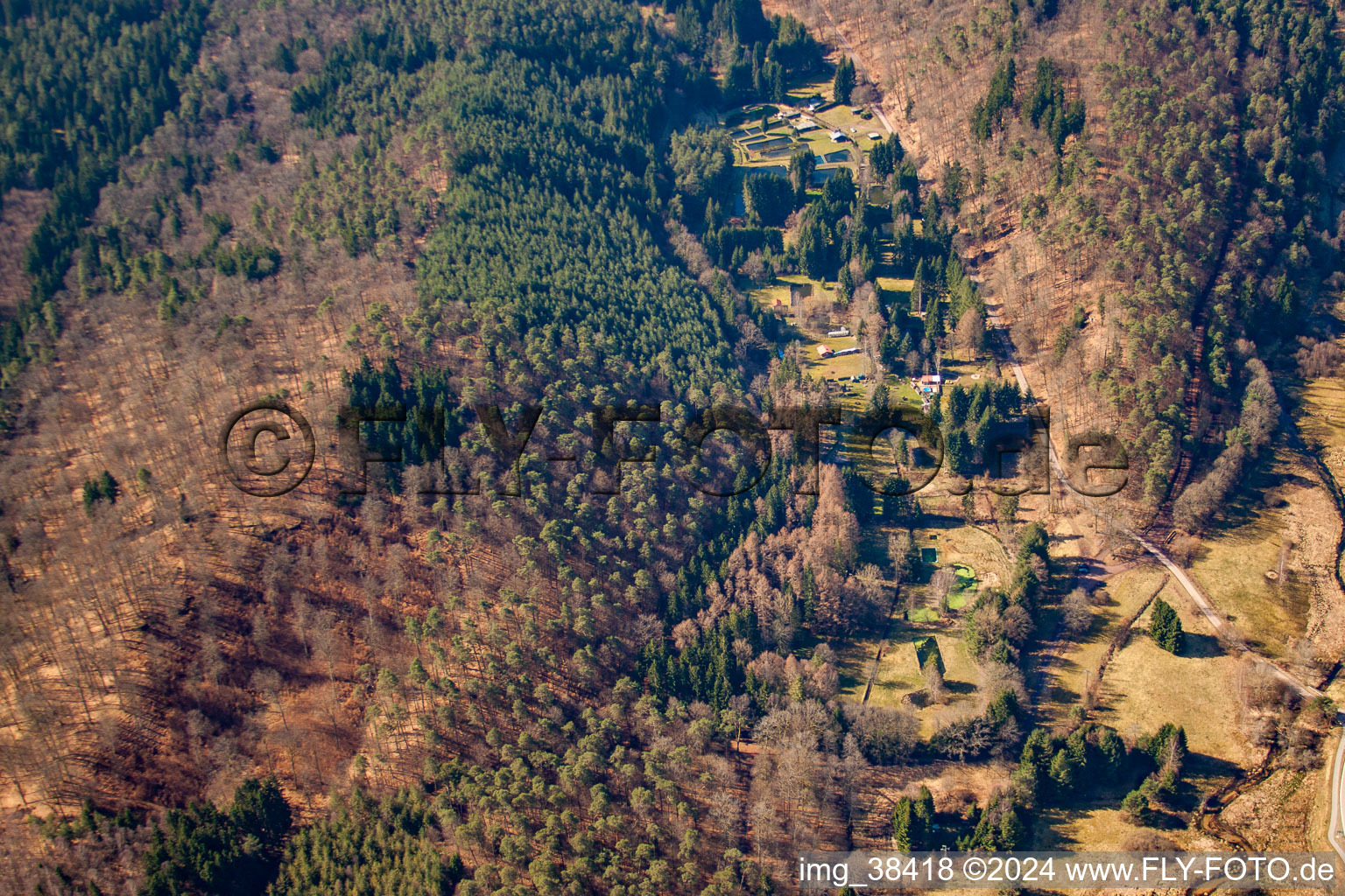 Vue aérienne de Vallée de Salzbachtal à le quartier Salzwoog in Lemberg dans le département Rhénanie-Palatinat, Allemagne