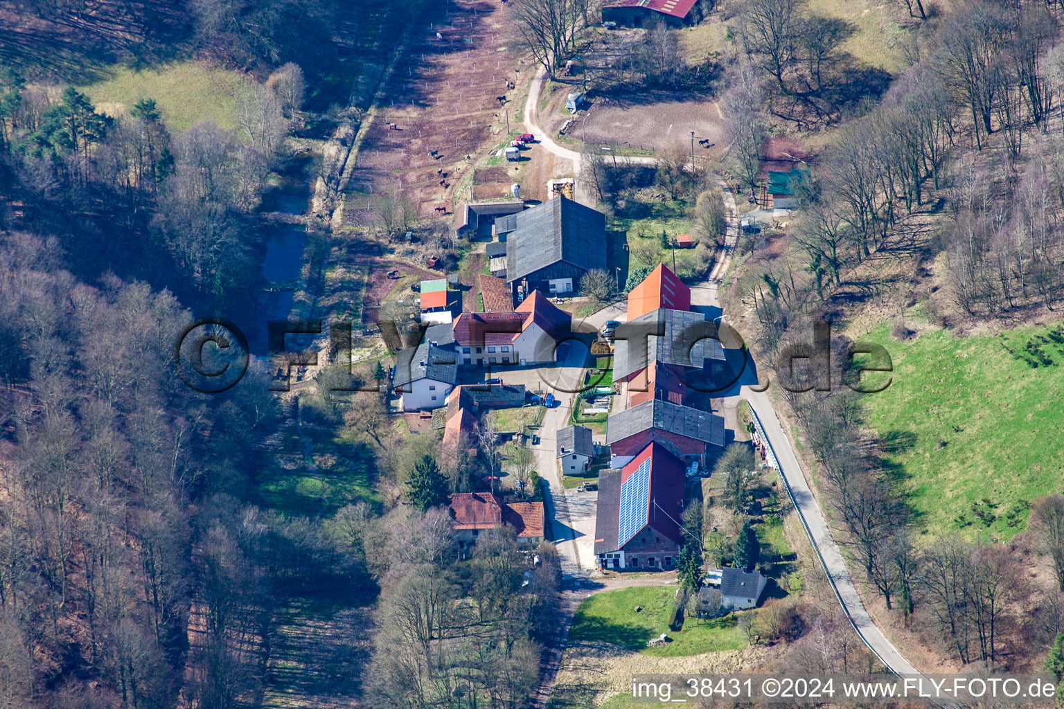 Vue aérienne de Rodalberhof à le quartier Kettrichhof in Lemberg dans le département Rhénanie-Palatinat, Allemagne