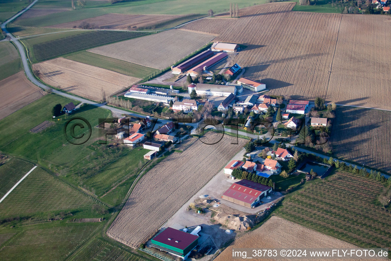 Photographie aérienne de Steinseltz dans le département Bas Rhin, France