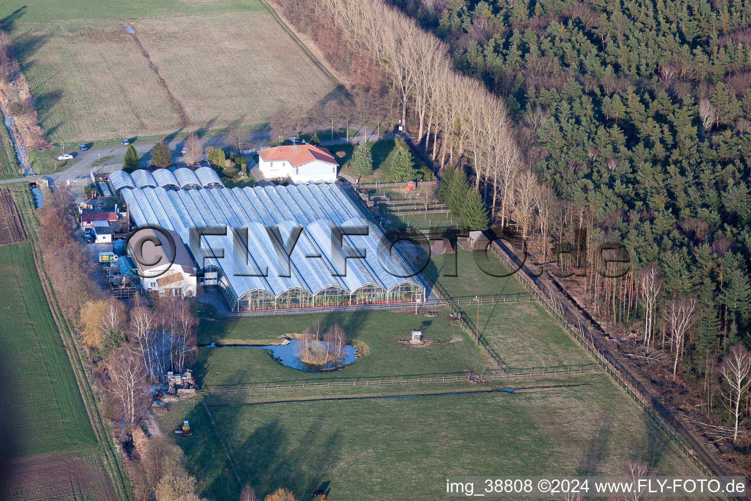 Steinfeld dans le département Rhénanie-Palatinat, Allemagne vue du ciel