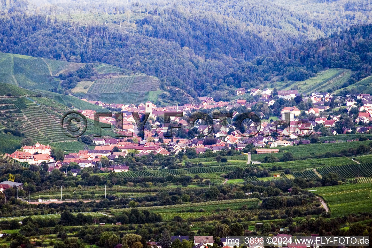 Vue d'oiseau de Quartier Steinbach in Baden-Baden dans le département Bade-Wurtemberg, Allemagne