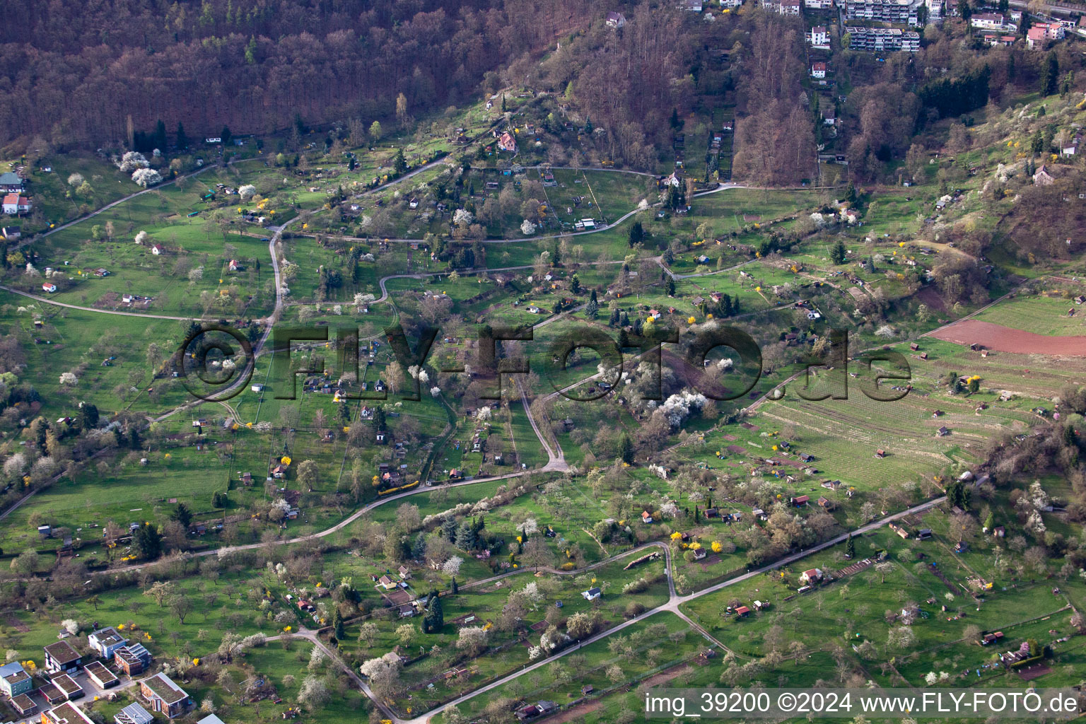 Vue aérienne de Steingrubenweg à le quartier Bopser in Gerlingen dans le département Bade-Wurtemberg, Allemagne