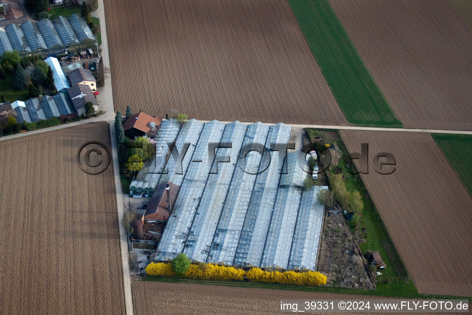 Vue aérienne de Petit Fedle à Möglingen dans le département Bade-Wurtemberg, Allemagne