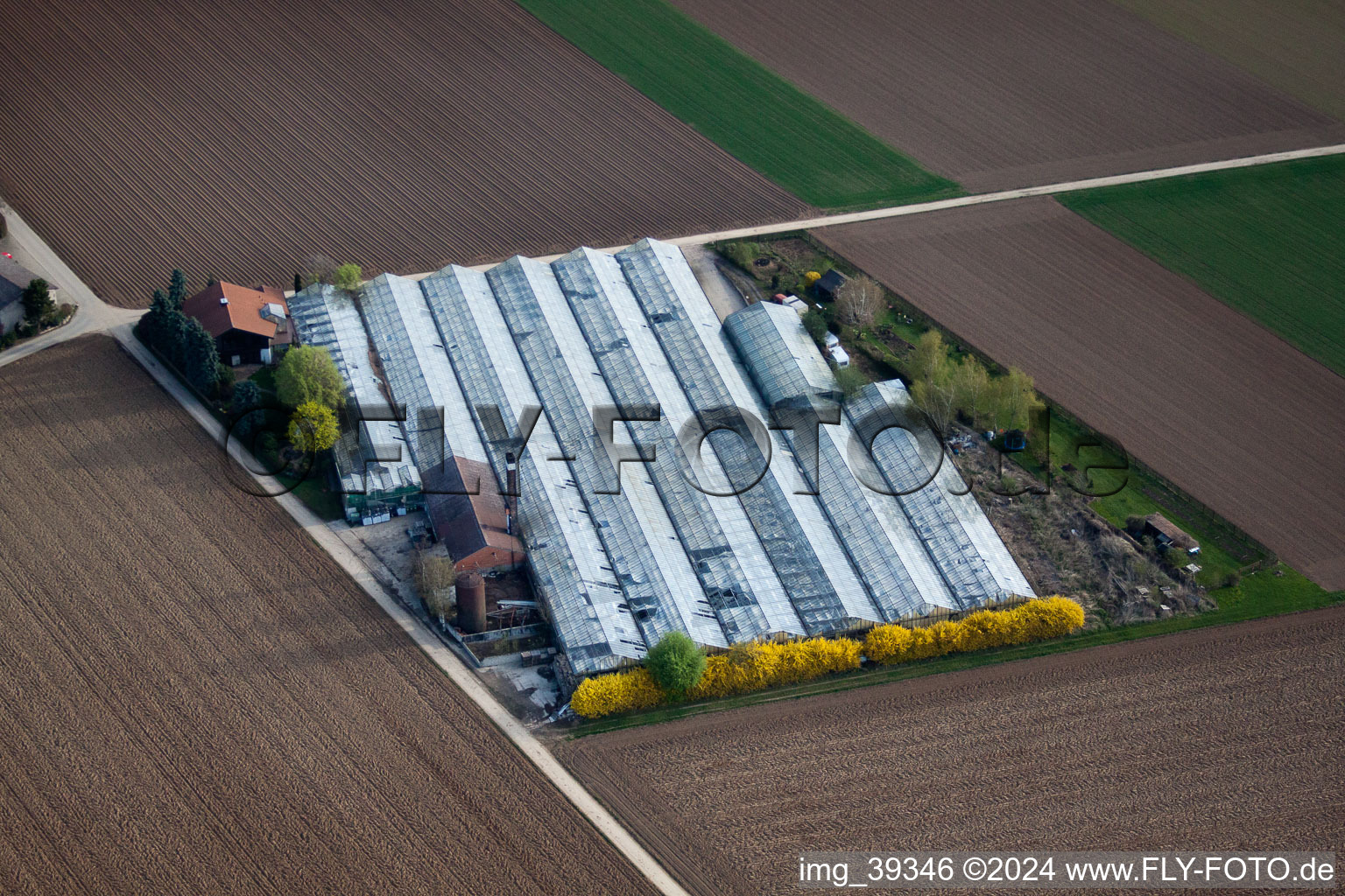 Vue oblique de Petit Fedle à Möglingen dans le département Bade-Wurtemberg, Allemagne