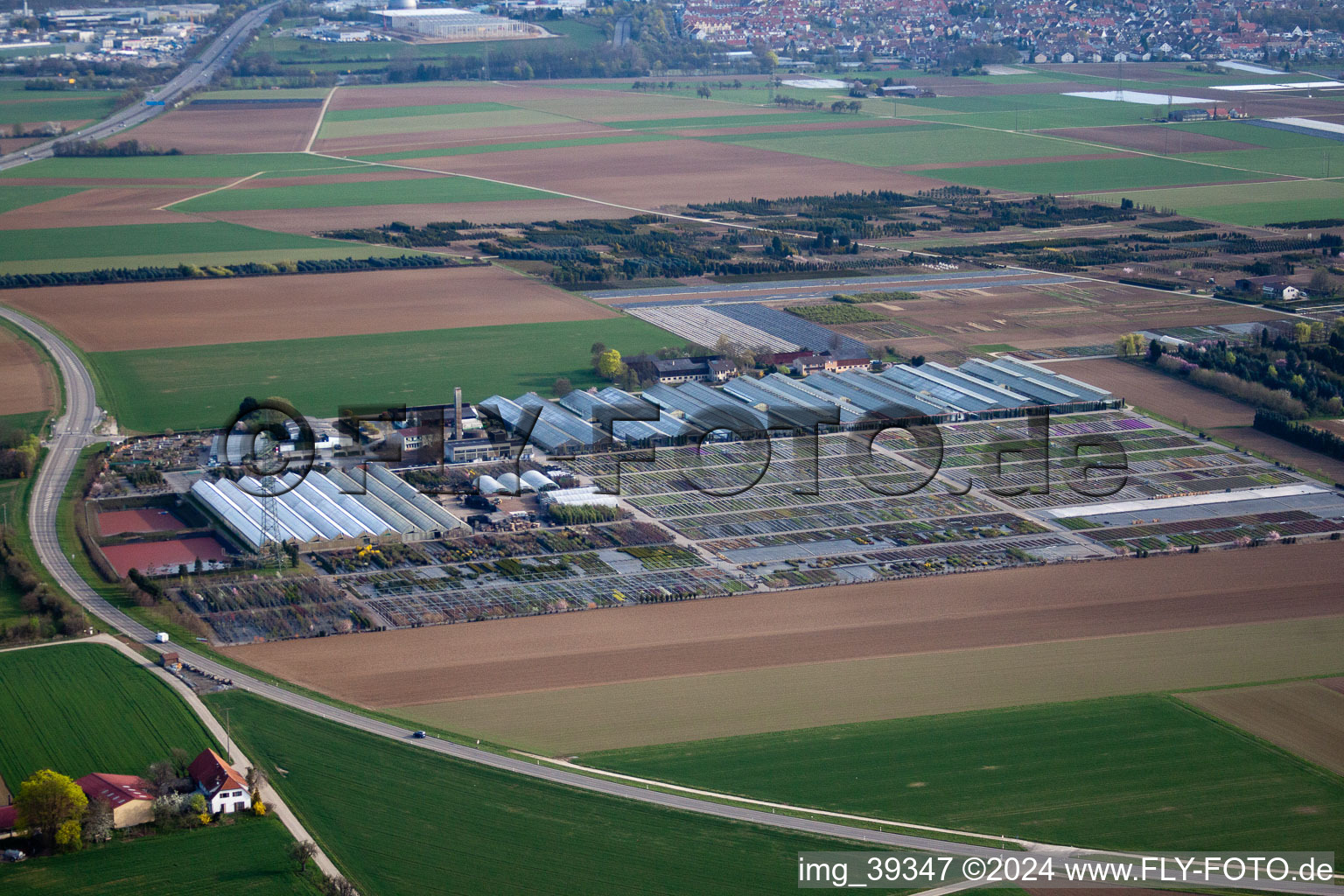 Vue aérienne de Vivaces Häussermann + arbres, dans le champ de maïs à Möglingen dans le département Bade-Wurtemberg, Allemagne