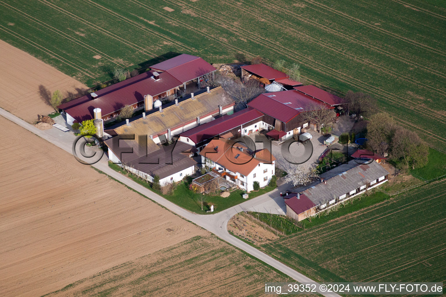 Vue aérienne de Dans le champ de maïs à Möglingen dans le département Bade-Wurtemberg, Allemagne