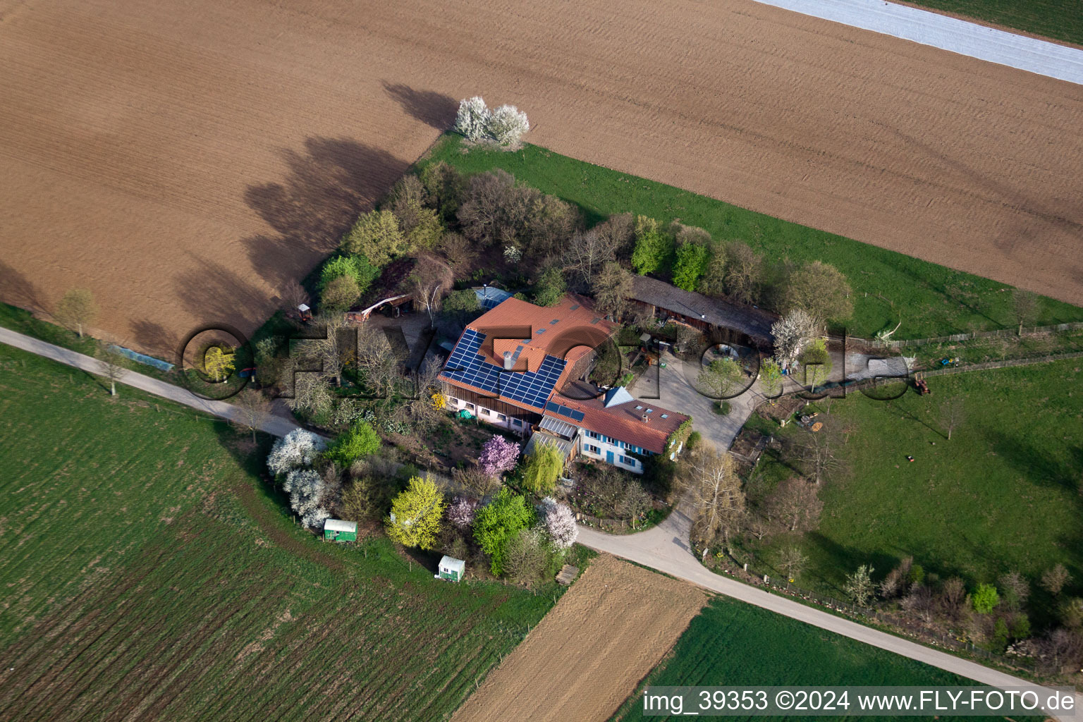 Vue aérienne de Dans le champ de maïs à Möglingen dans le département Bade-Wurtemberg, Allemagne