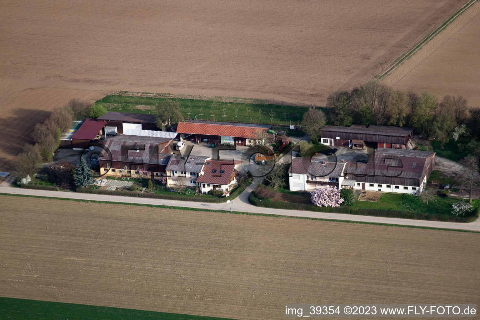 Photographie aérienne de Dans le champ de maïs à Möglingen dans le département Bade-Wurtemberg, Allemagne