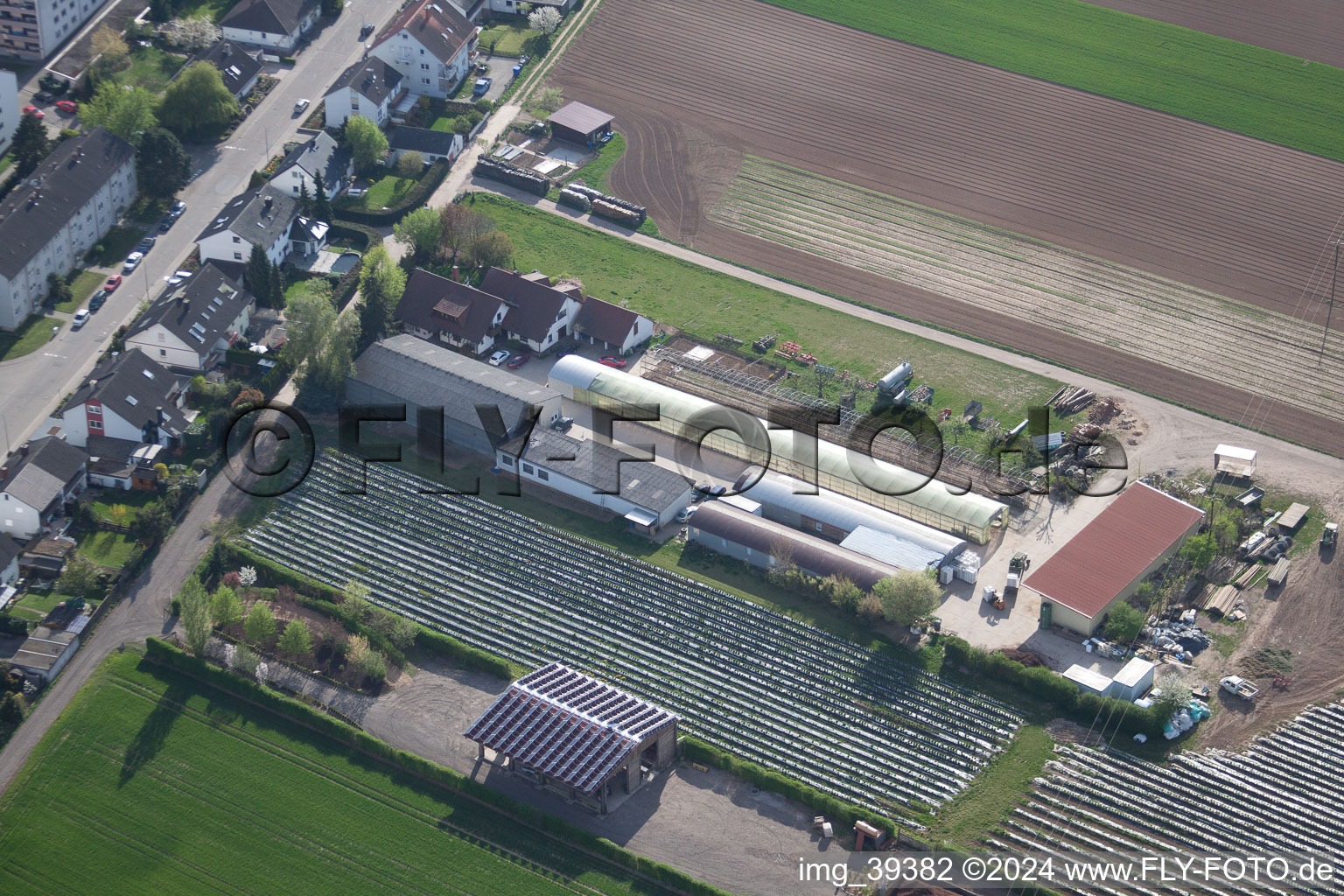 Vue aérienne de Ferme biologique sur le Sonnenweg à Kandel dans le département Rhénanie-Palatinat, Allemagne