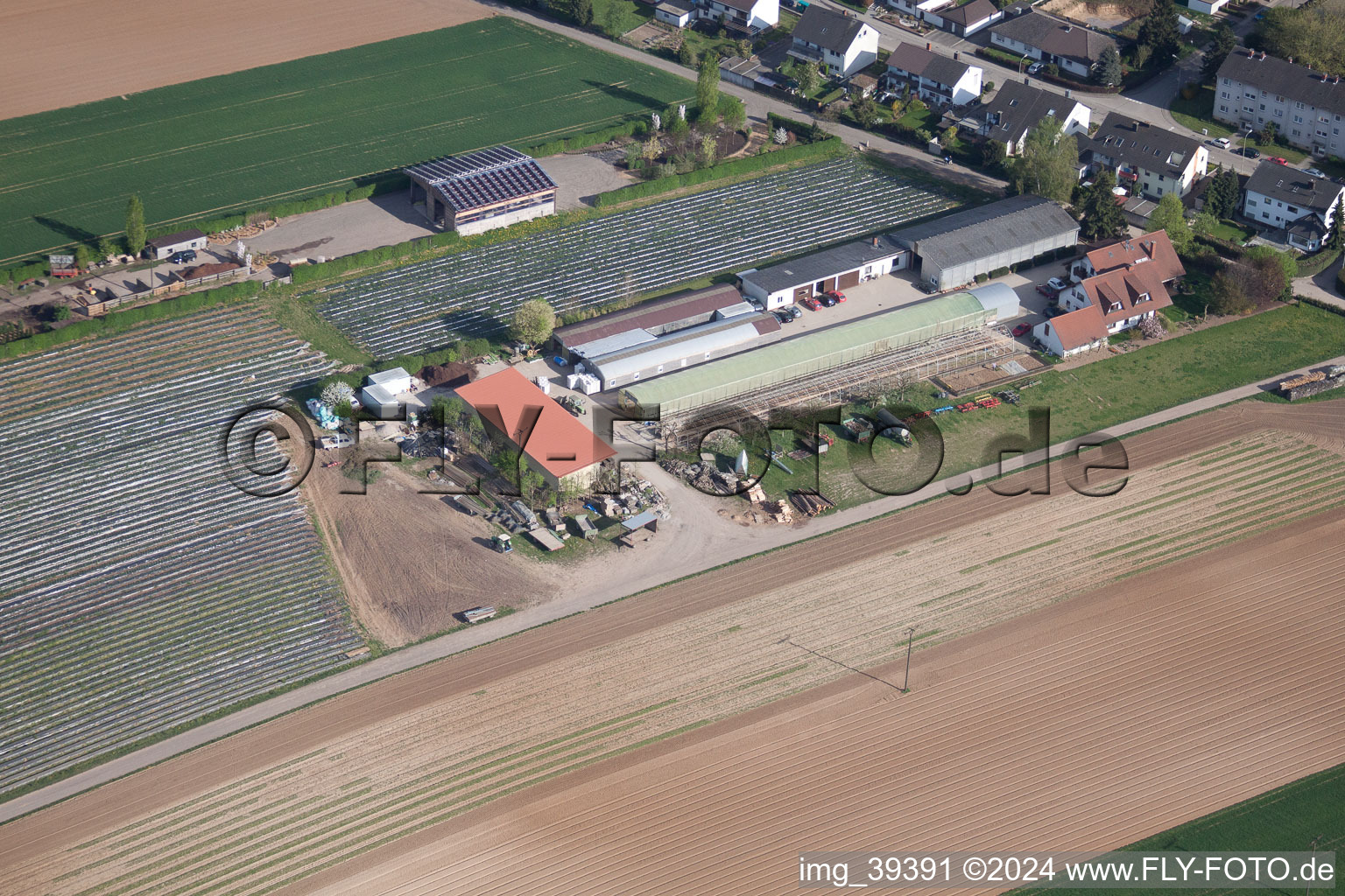 Photographie aérienne de Ferme biologique sur le Sonnenweg à Kandel dans le département Rhénanie-Palatinat, Allemagne